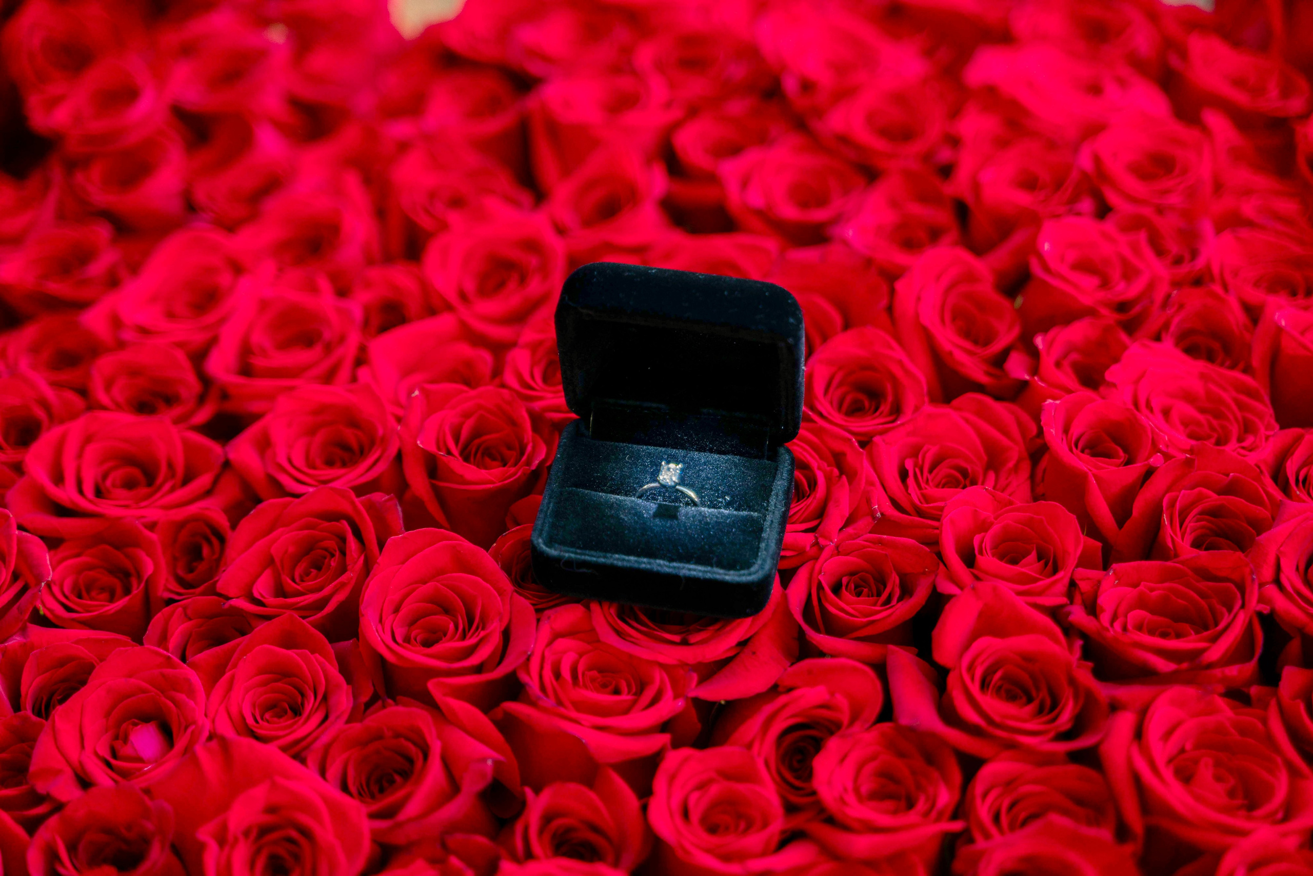 Engagement. Stefanovich Photography | Miami, FL