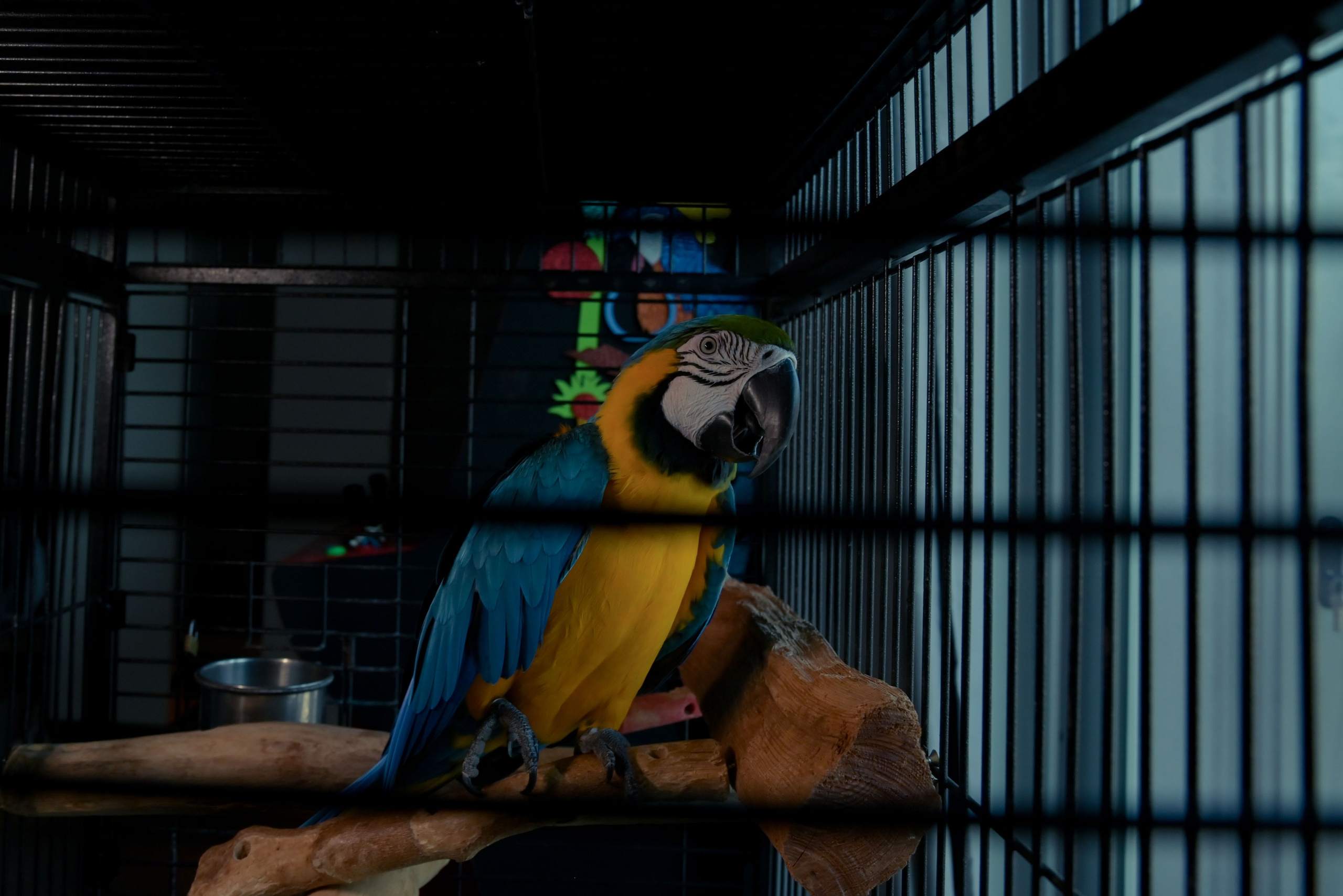 Francesca_la festa dei 18 anni_ 1parte