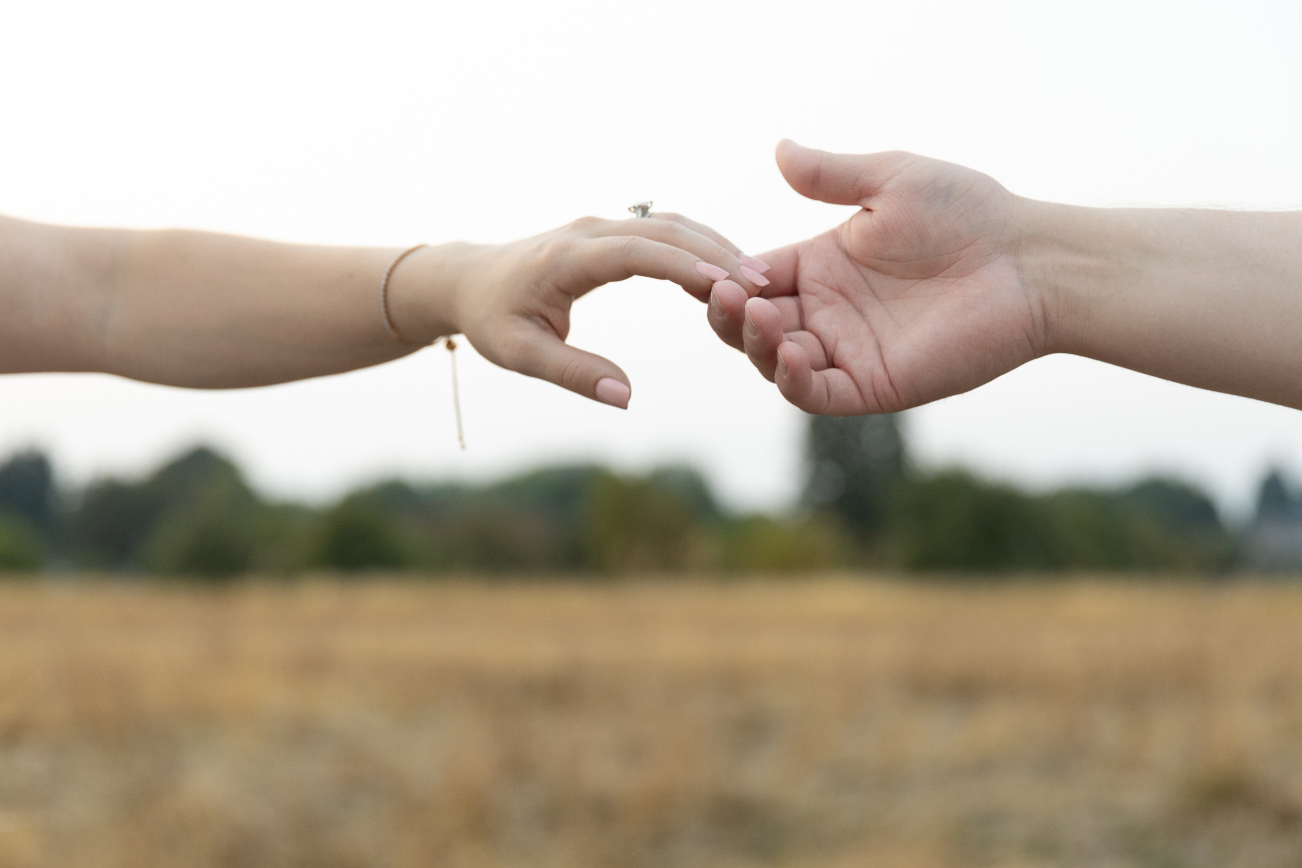 F | E. Family and Wedding photographer