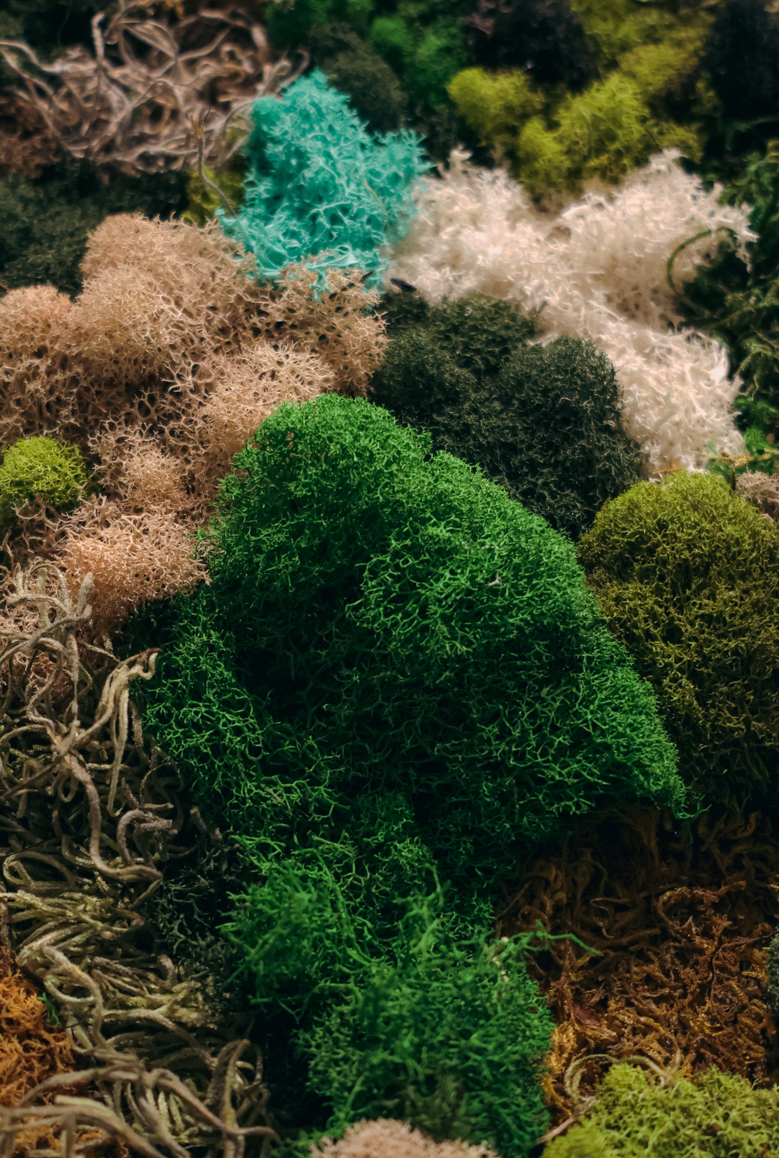 Anna & Moss magic, Content. Yana Bobrova | Artistic Photography