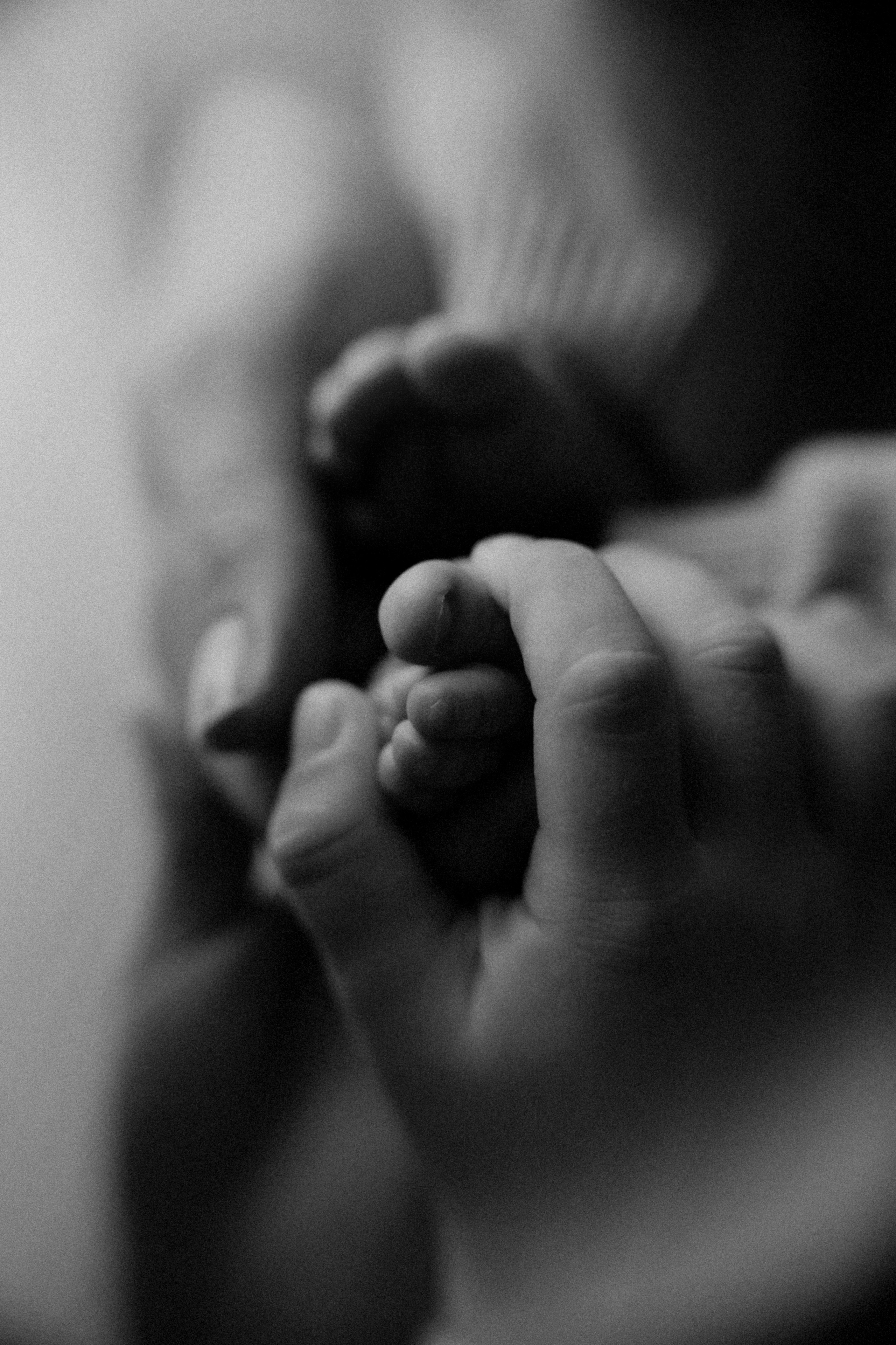 Baby Boy. Фотограф Ирина Йотова