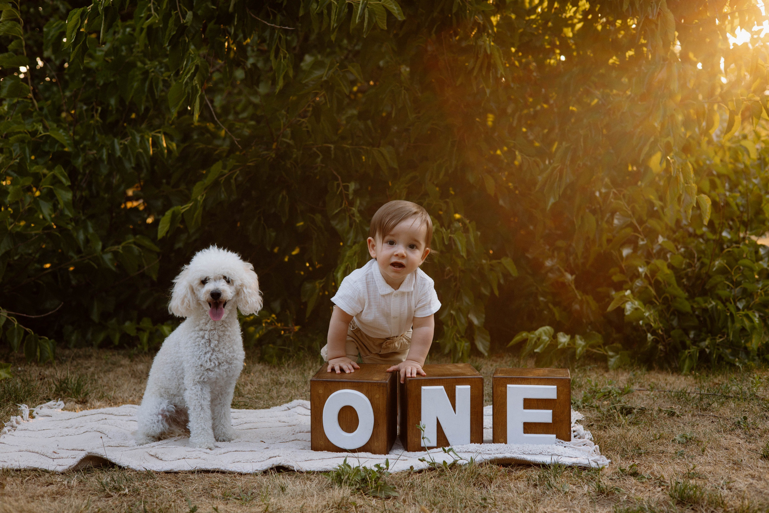Smash Cake Photography. Family and Wedding Photographer