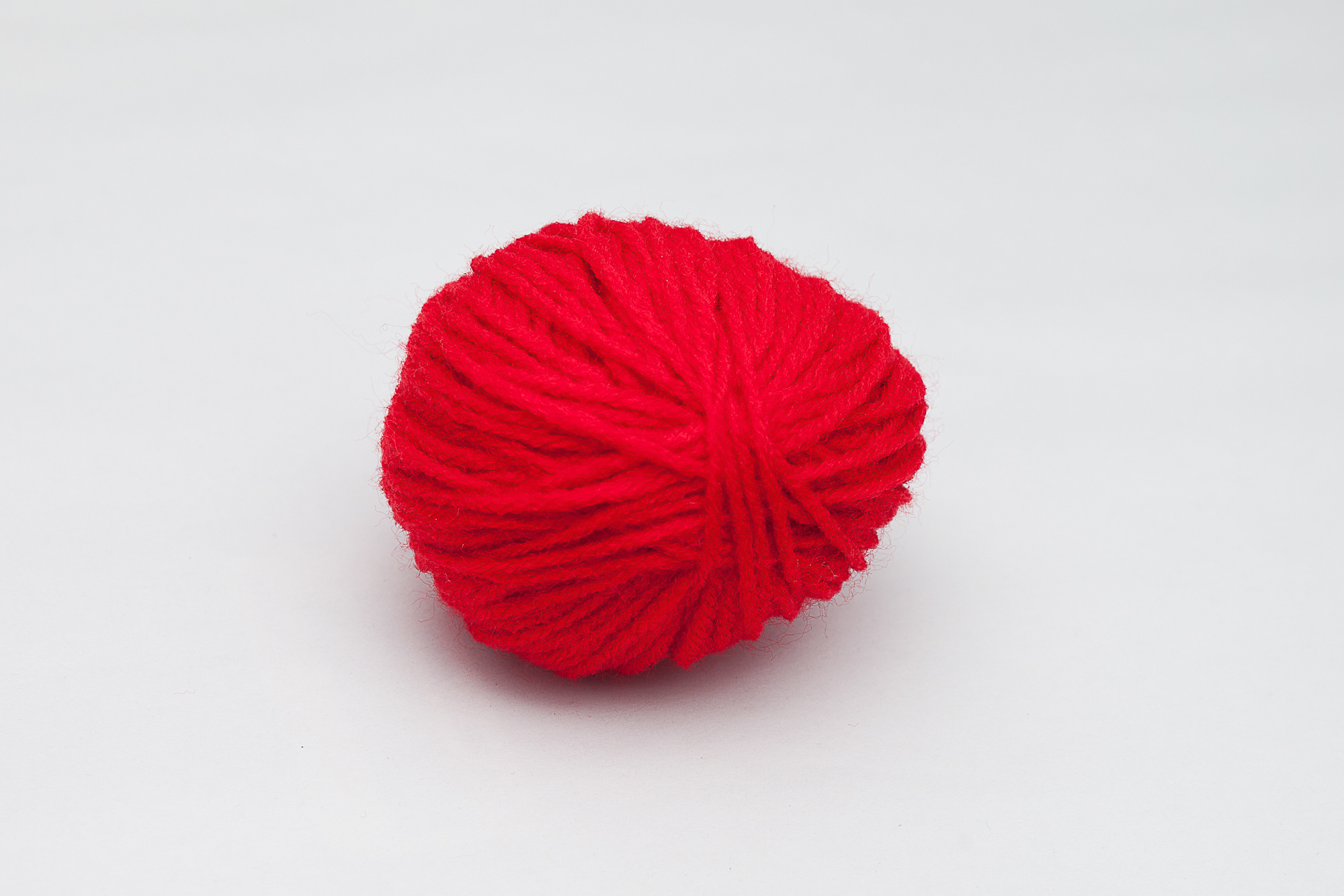 Monument for a Dead Bird. Home