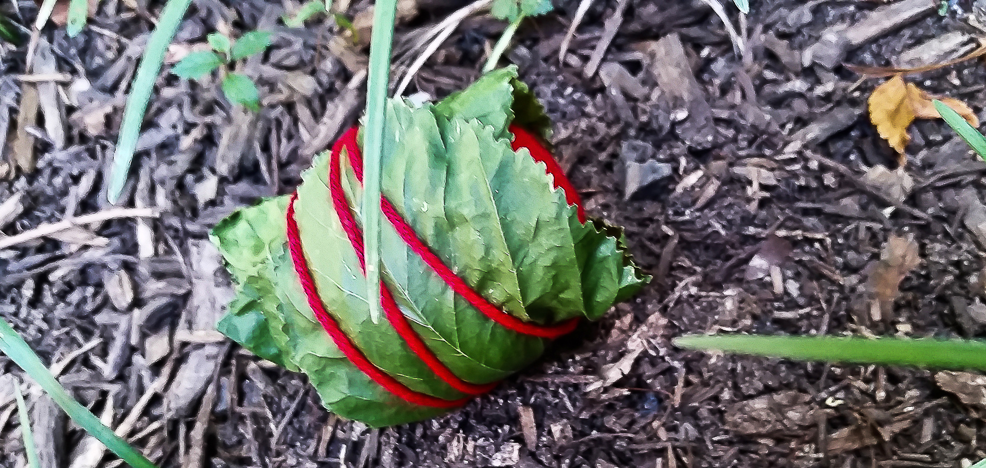 Monument for a Dead Bird. Home