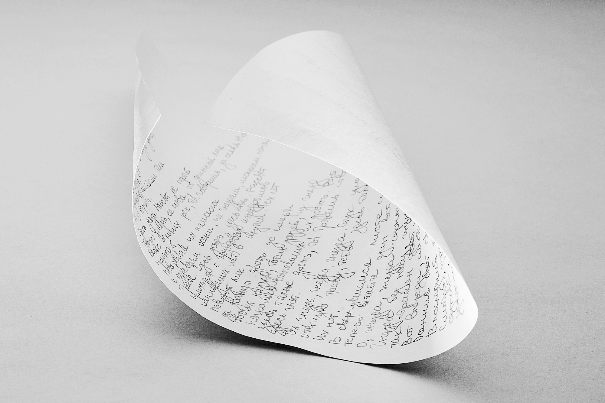 Monument for a Dead Bird. Home