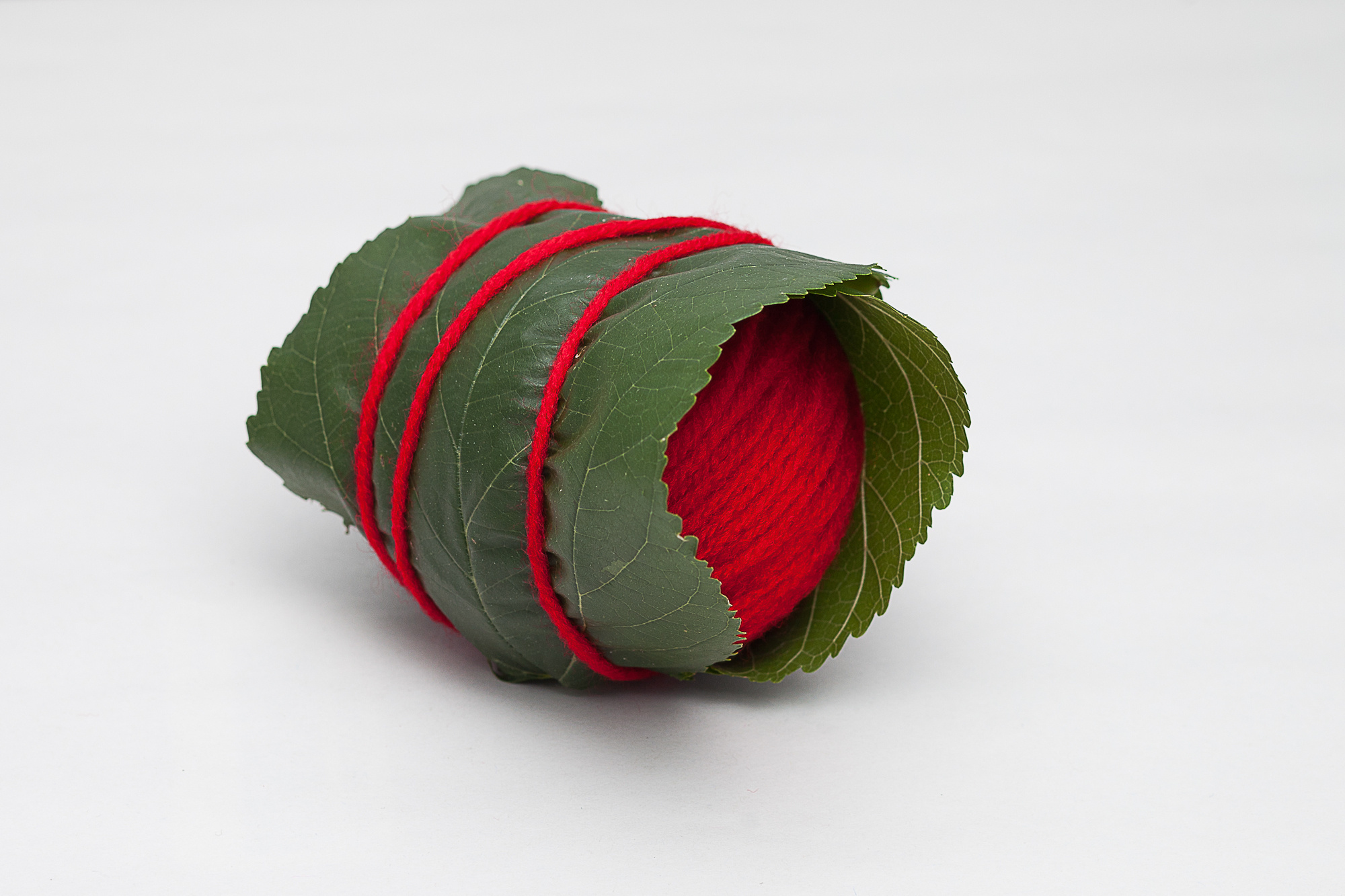 Monument for a Dead Bird. Home