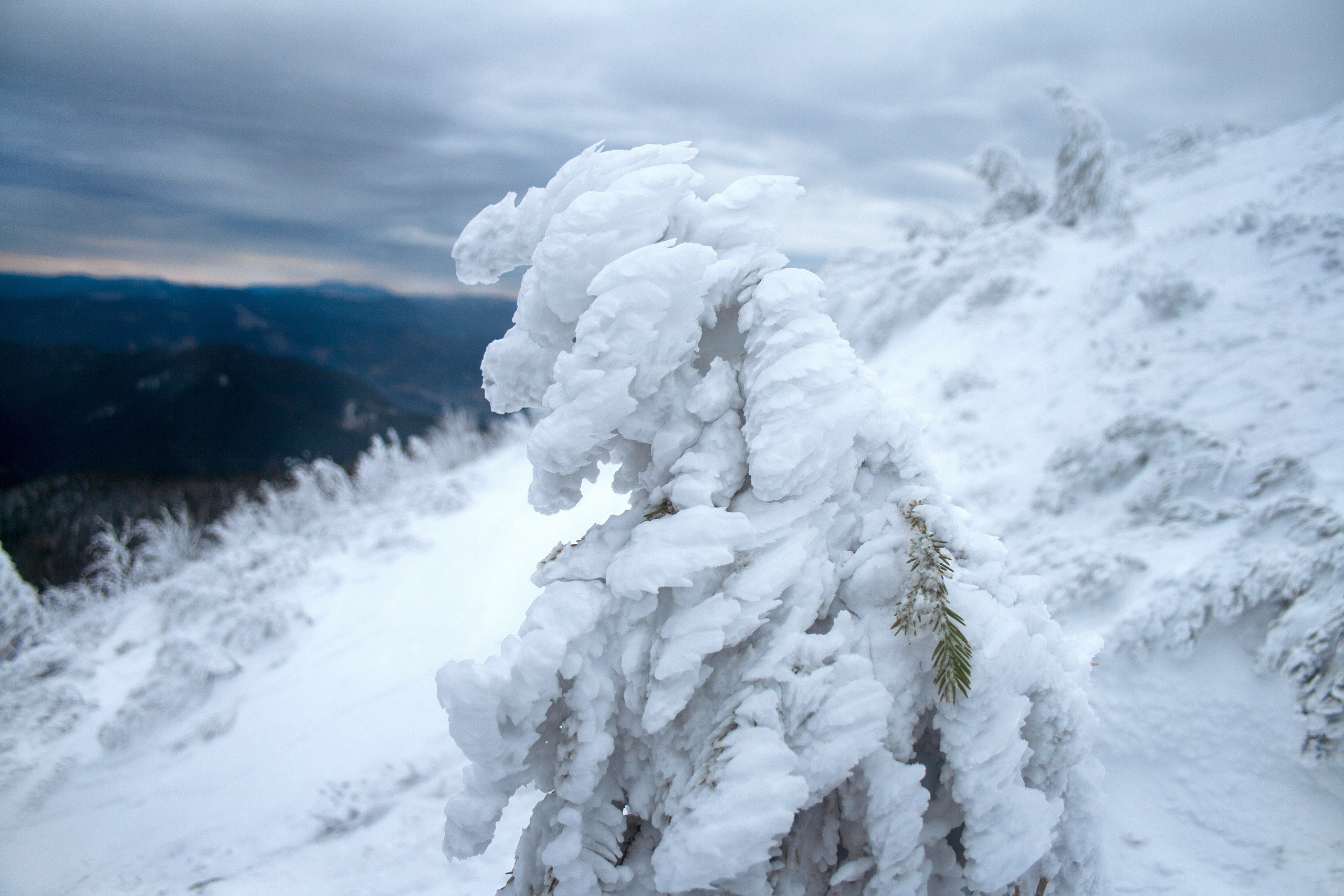 Mountain landscapes. Portrait and still life photographer. Designer, photographer, and illustrator