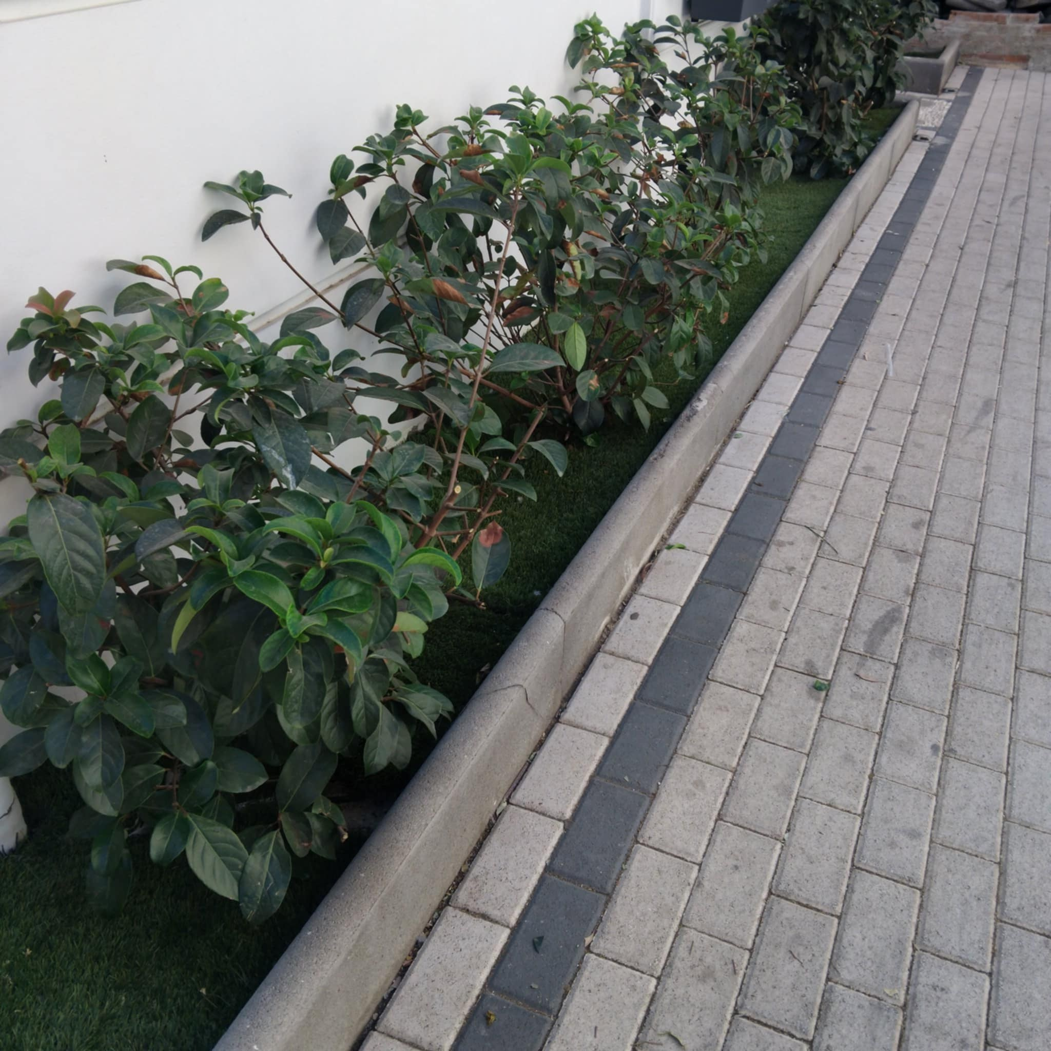 Κήπος Καμίνια. Geoponitikon-Όταν η Επιστήμη συναντά την Τέχνη στο Φυσικό Τοπίο!