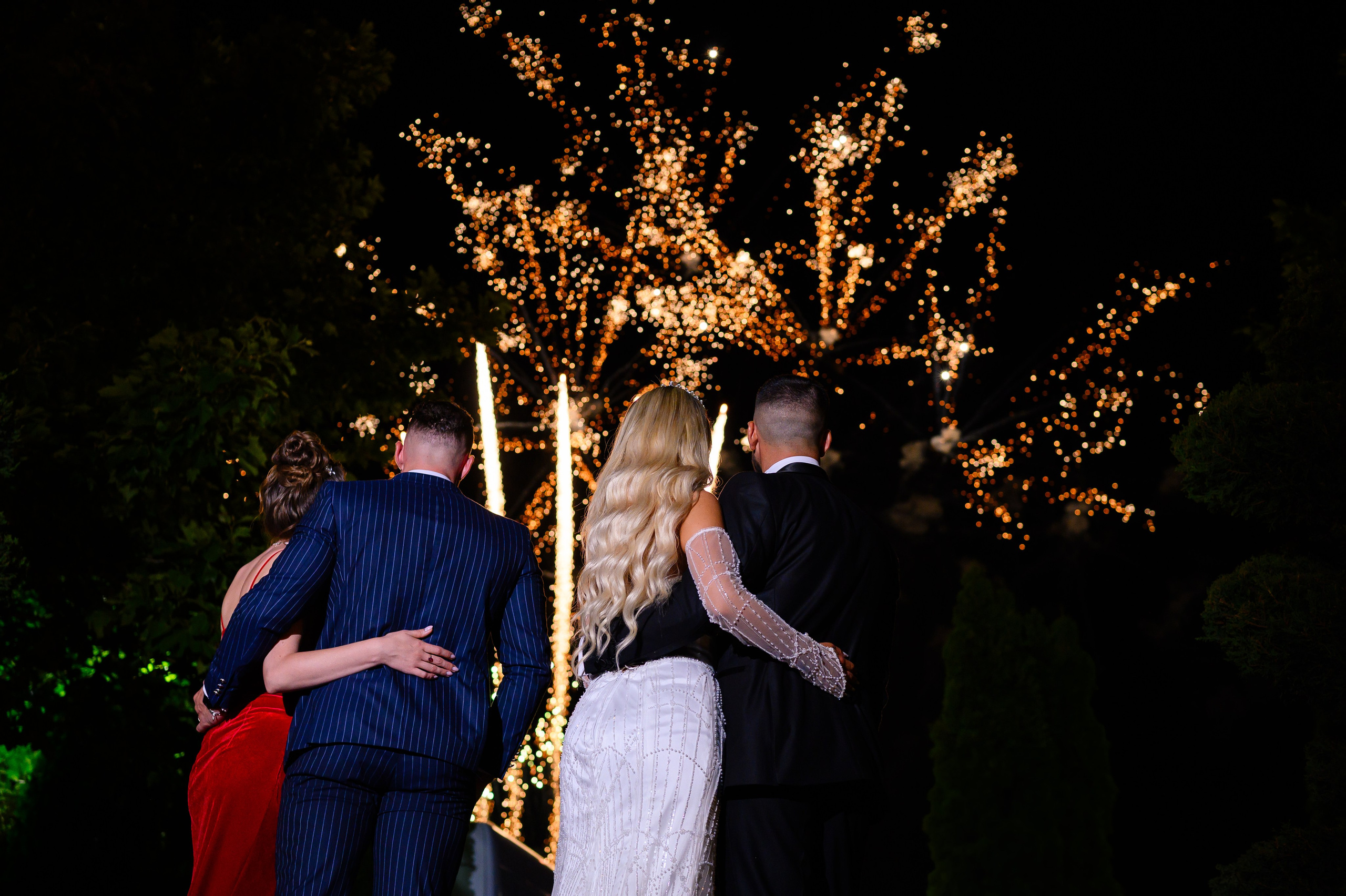 Nuntă. Ligiafoto.ro