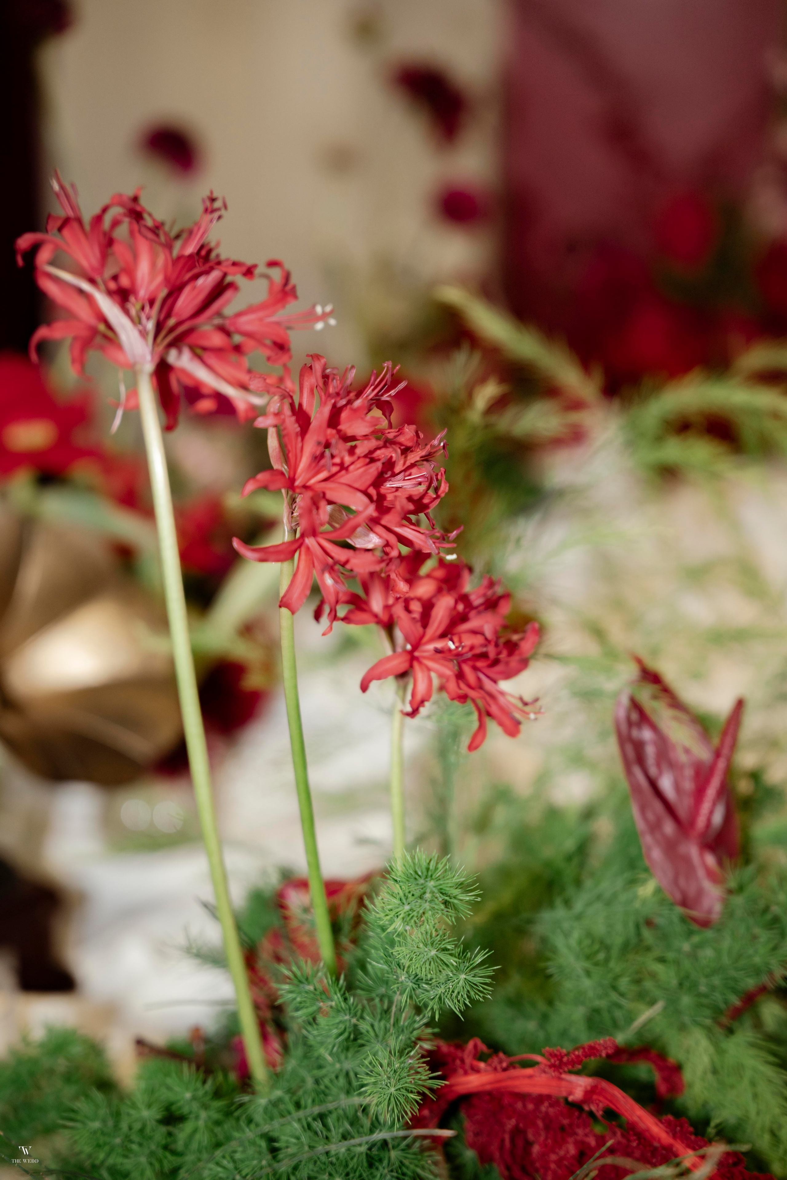 NGHIA & NGOC. WEDDING PHOTOGRAPHER IN VIETNAM