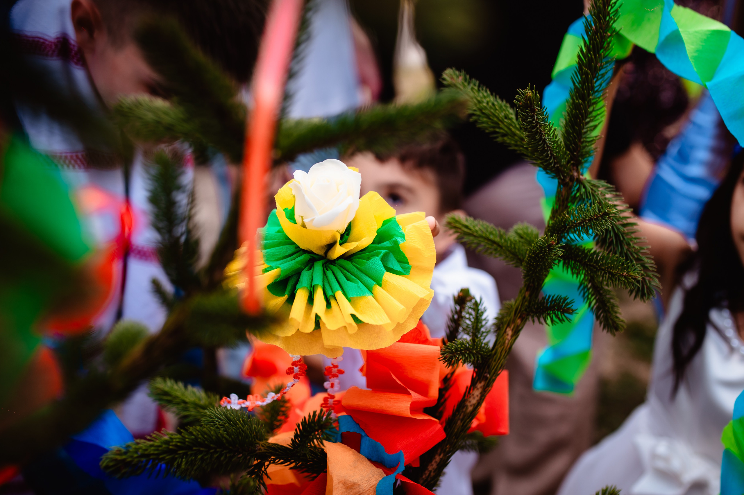 Georgiana & Ciprian. Mihnea’s Perspective — Where your moments become timeless stories. Event photographer, Romania