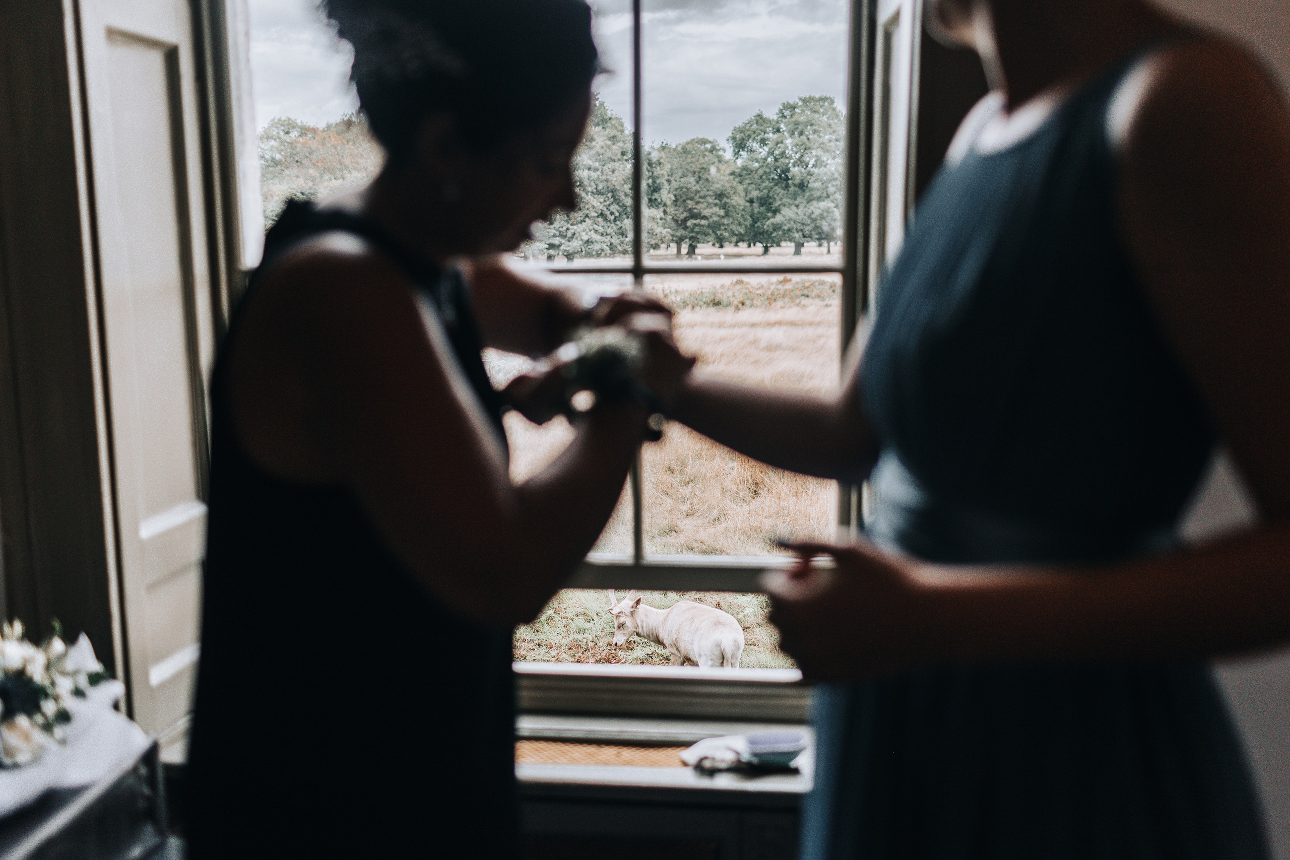 GEMMA + BIANCA. Main