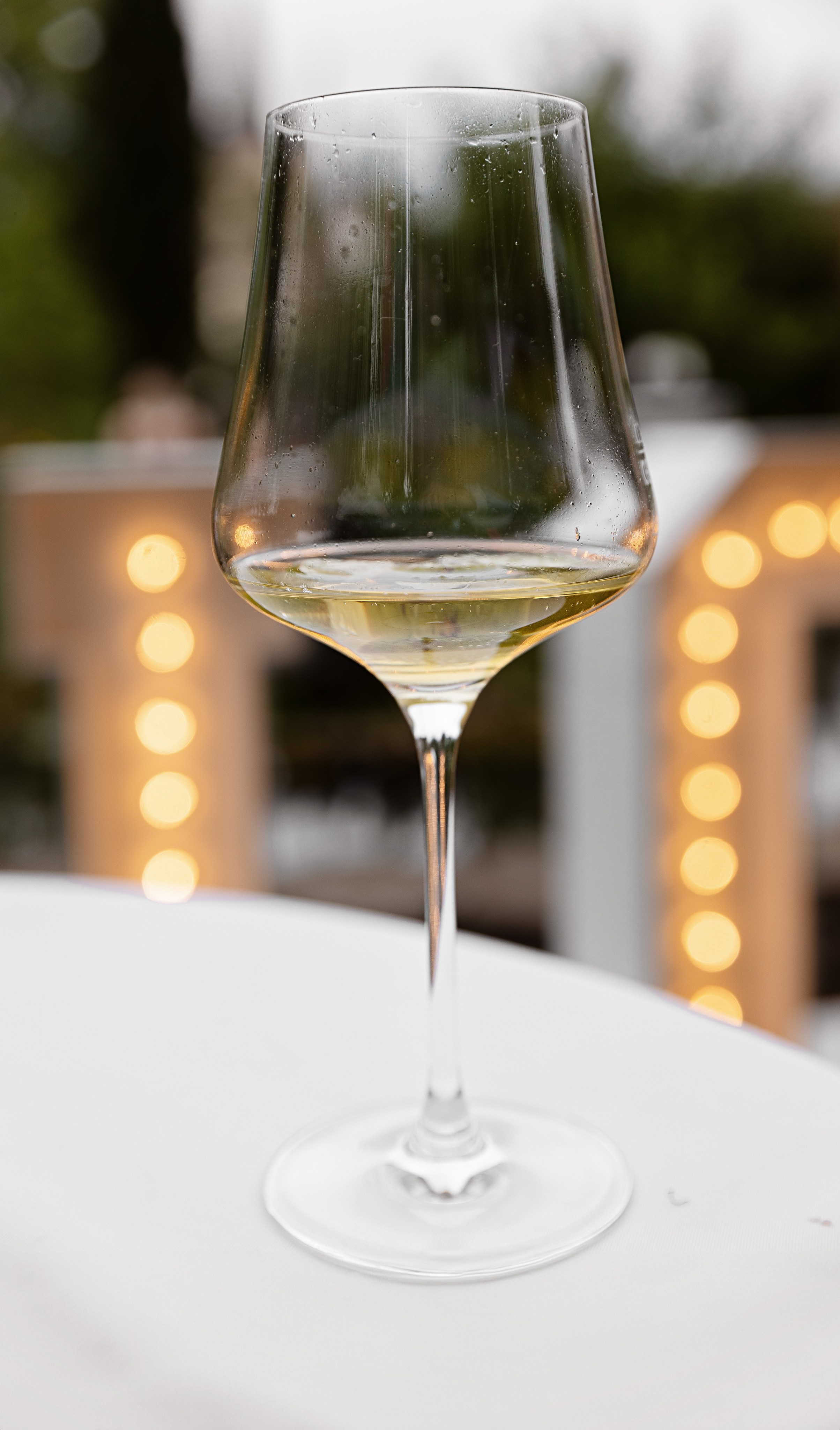 Hochzeit. Oxana Gruber Fotograf