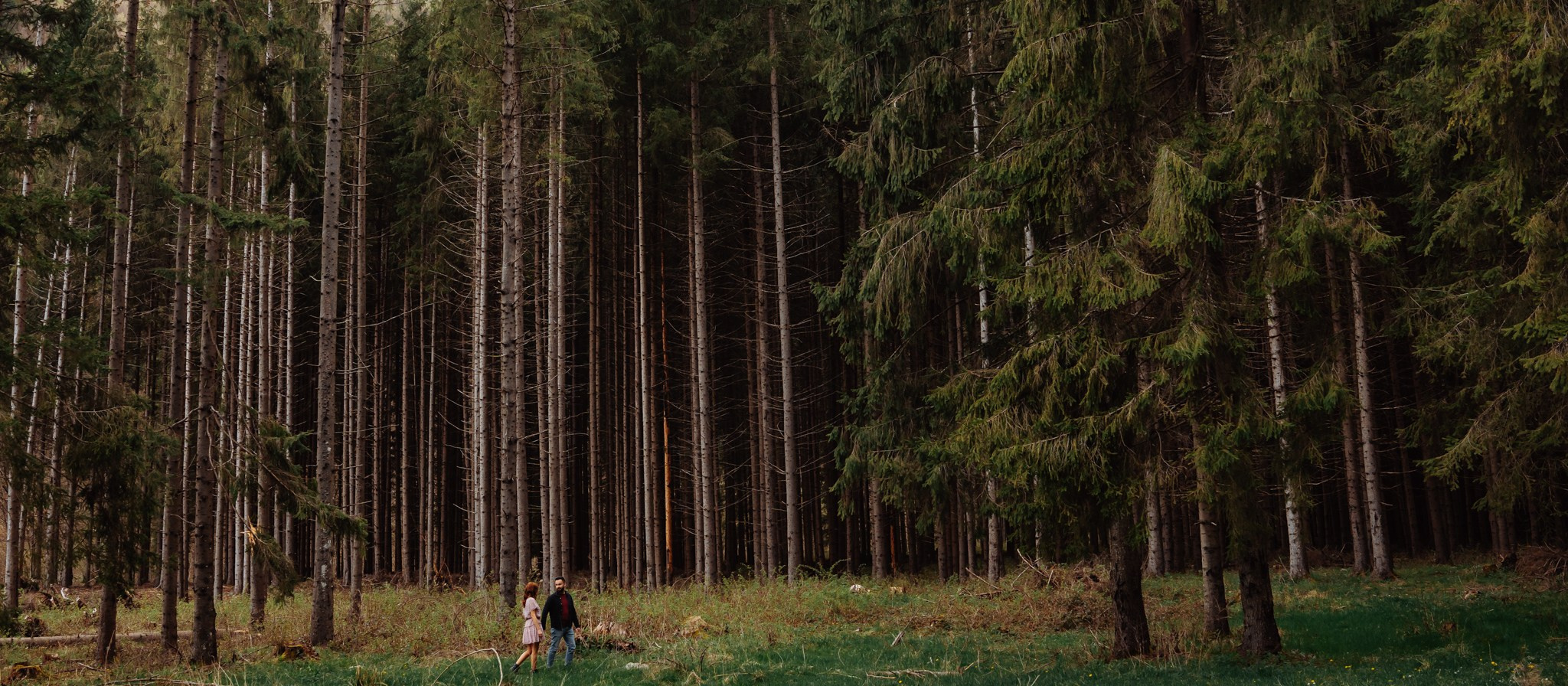 Save The Date — Monica & Danut | Polovragi