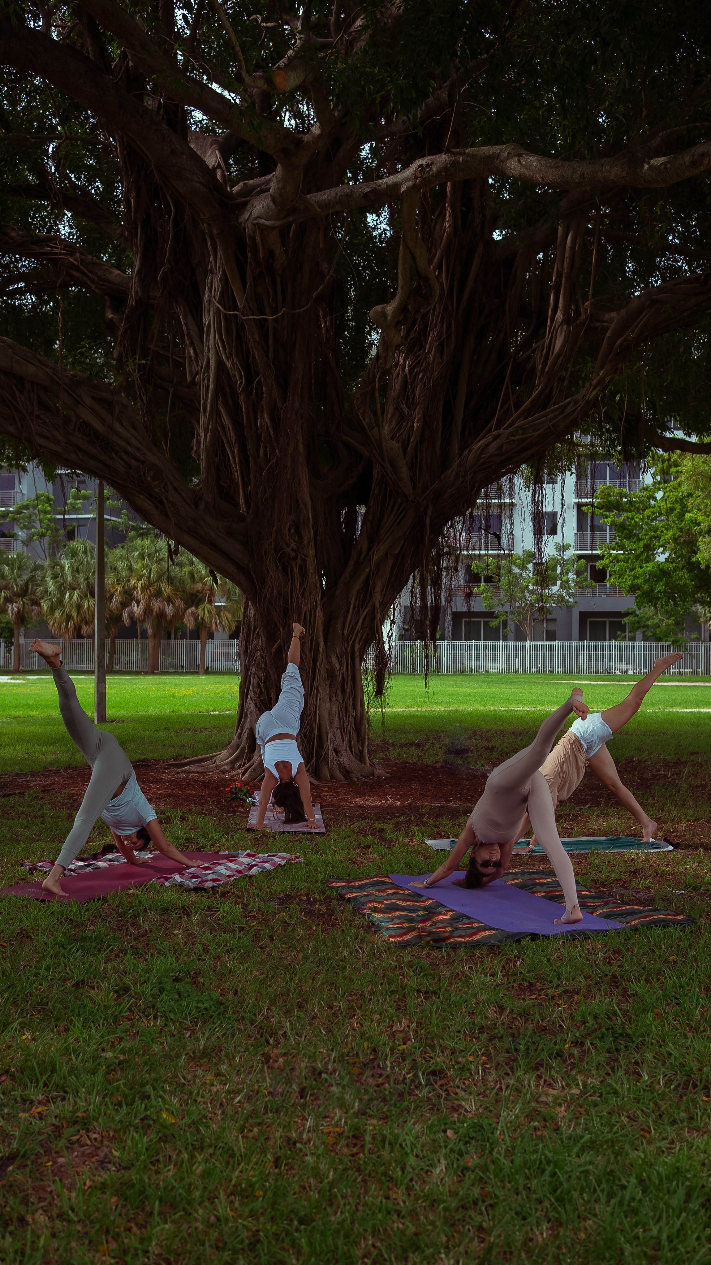 Events. Tatiana Ketova