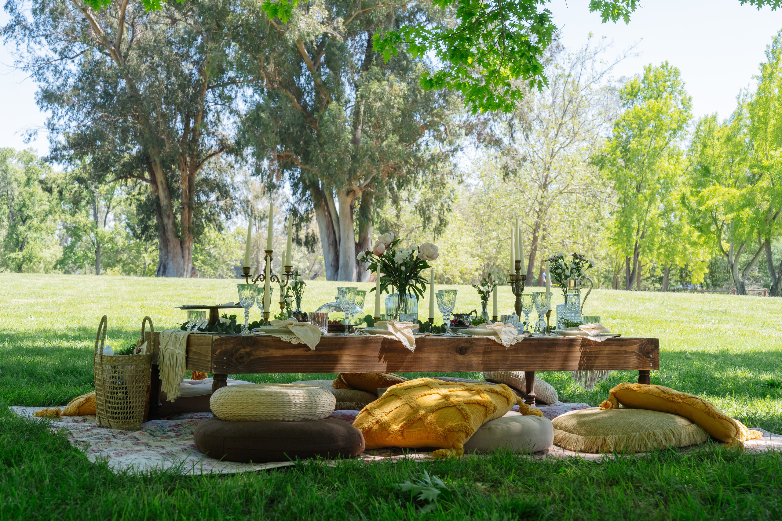 Events. Barbarica. Photography