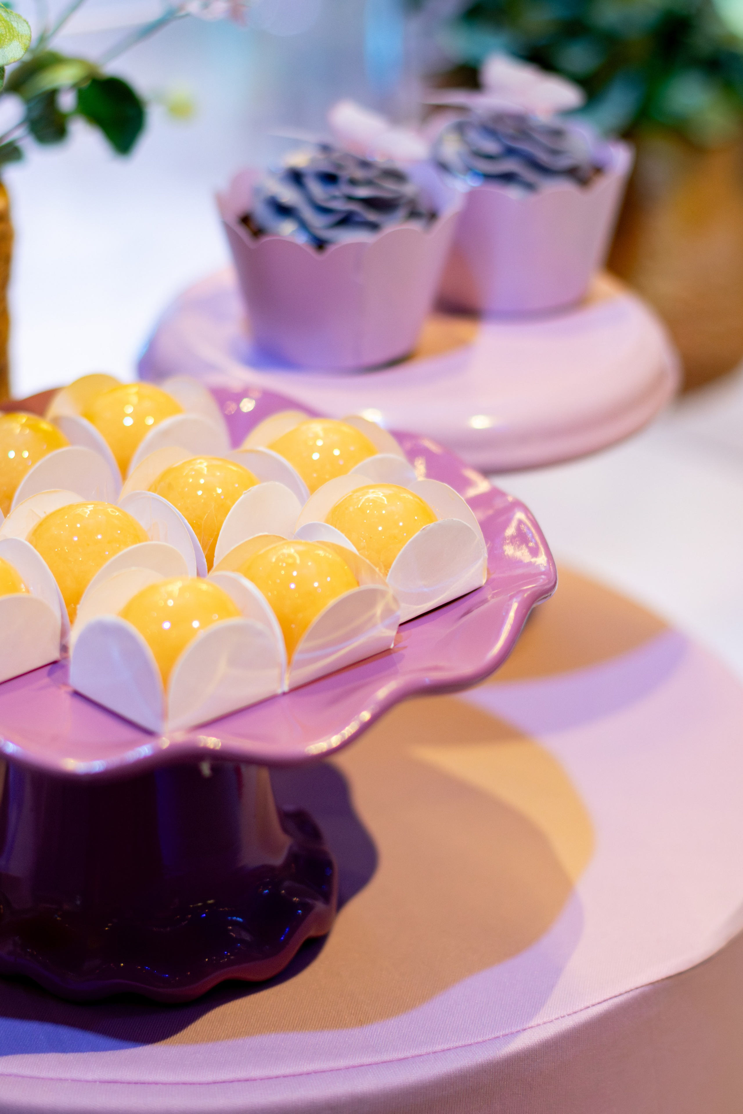 Stella — Aniversário 6 anos. Principal