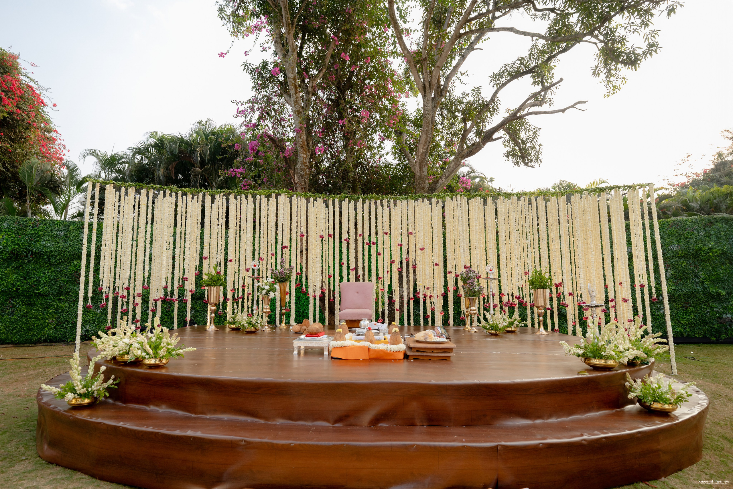 Tanvi & Neil | Wedding