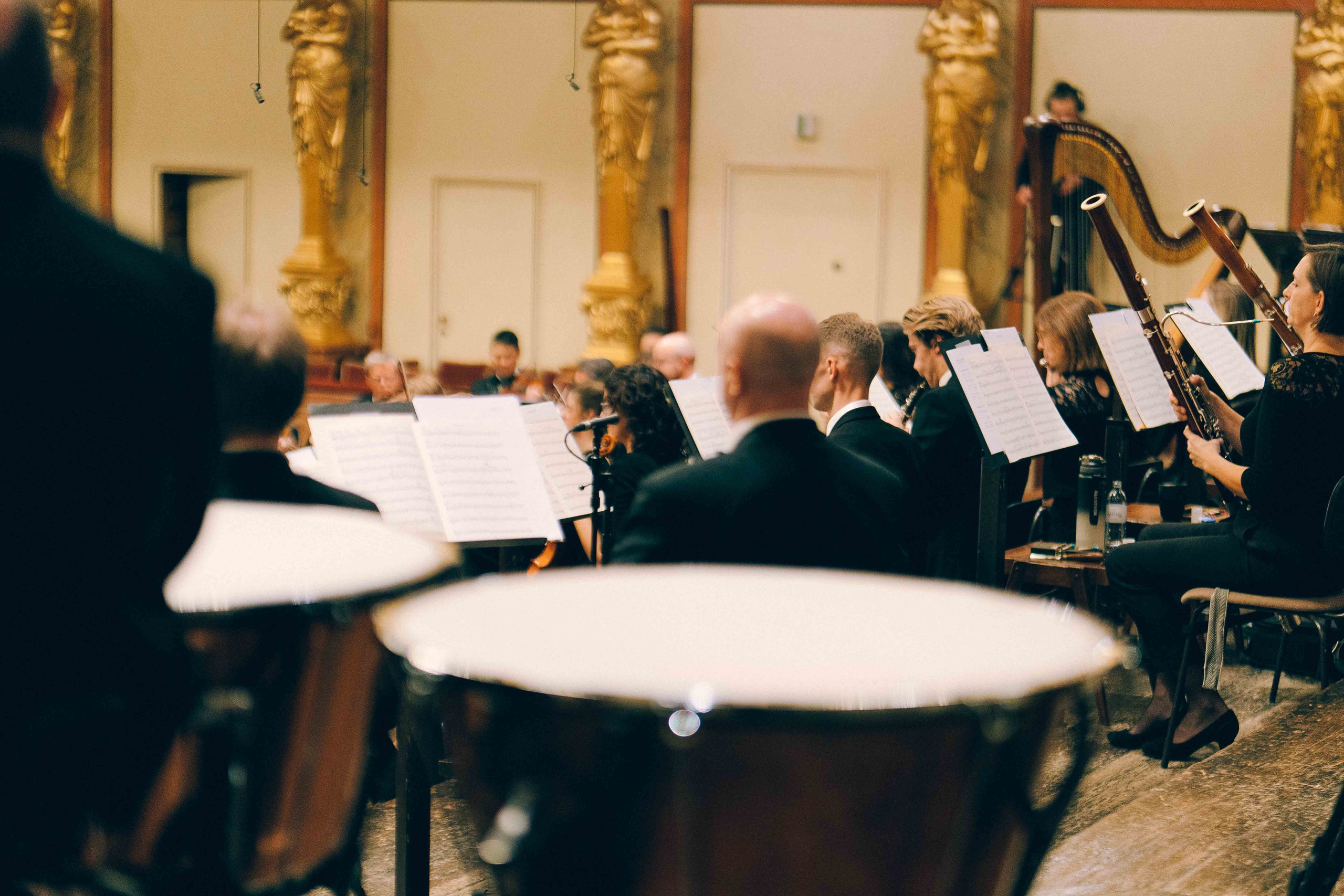 MUSIKVEREIN (VIENNA). Wedding&Event photographer Ismail Rzayev in Baku
