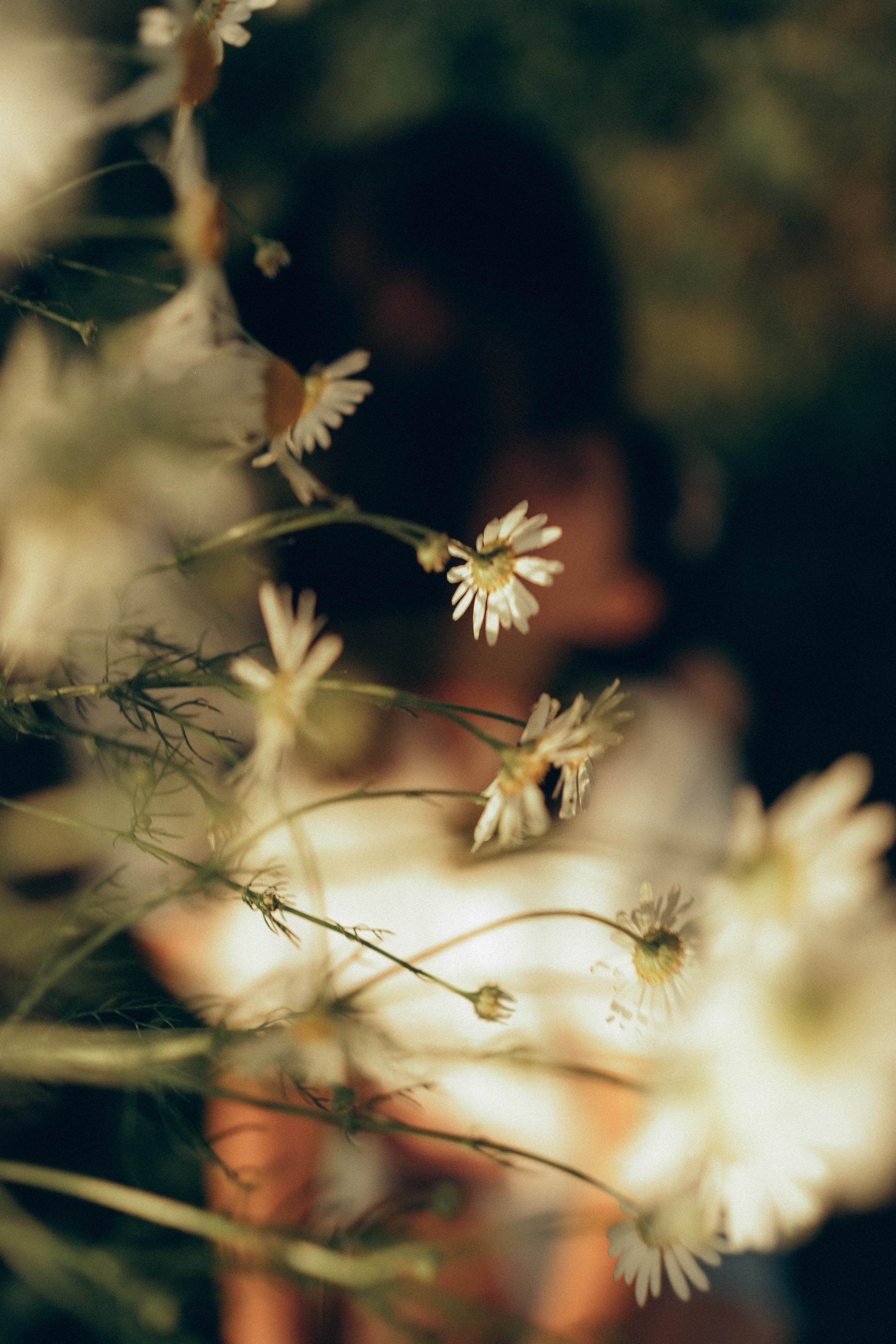 FAMILY PALUS. Photographer and videographer in Norway and Slovakia Andrea Zemko