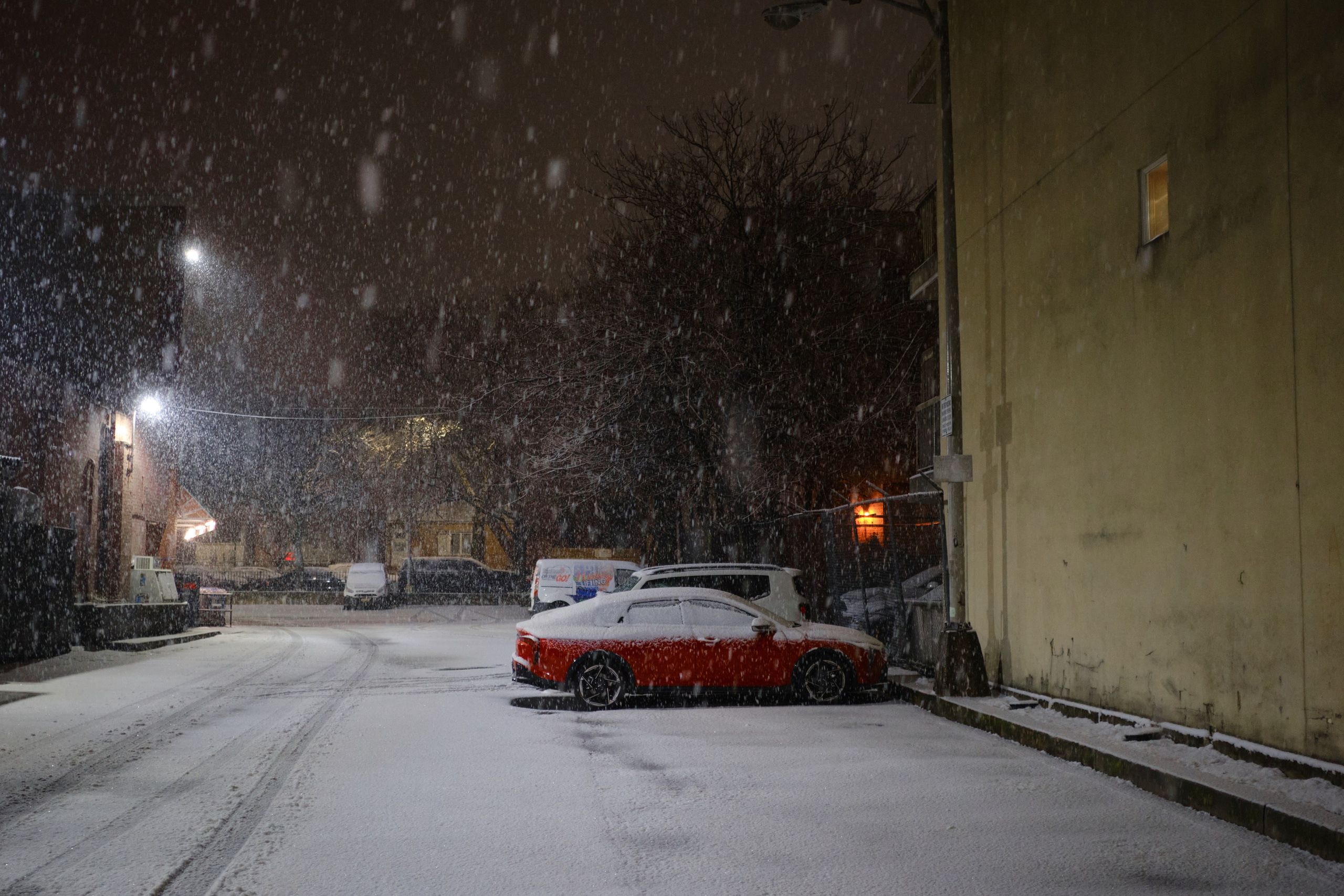 Red/red/red. Fuad Shafiyev