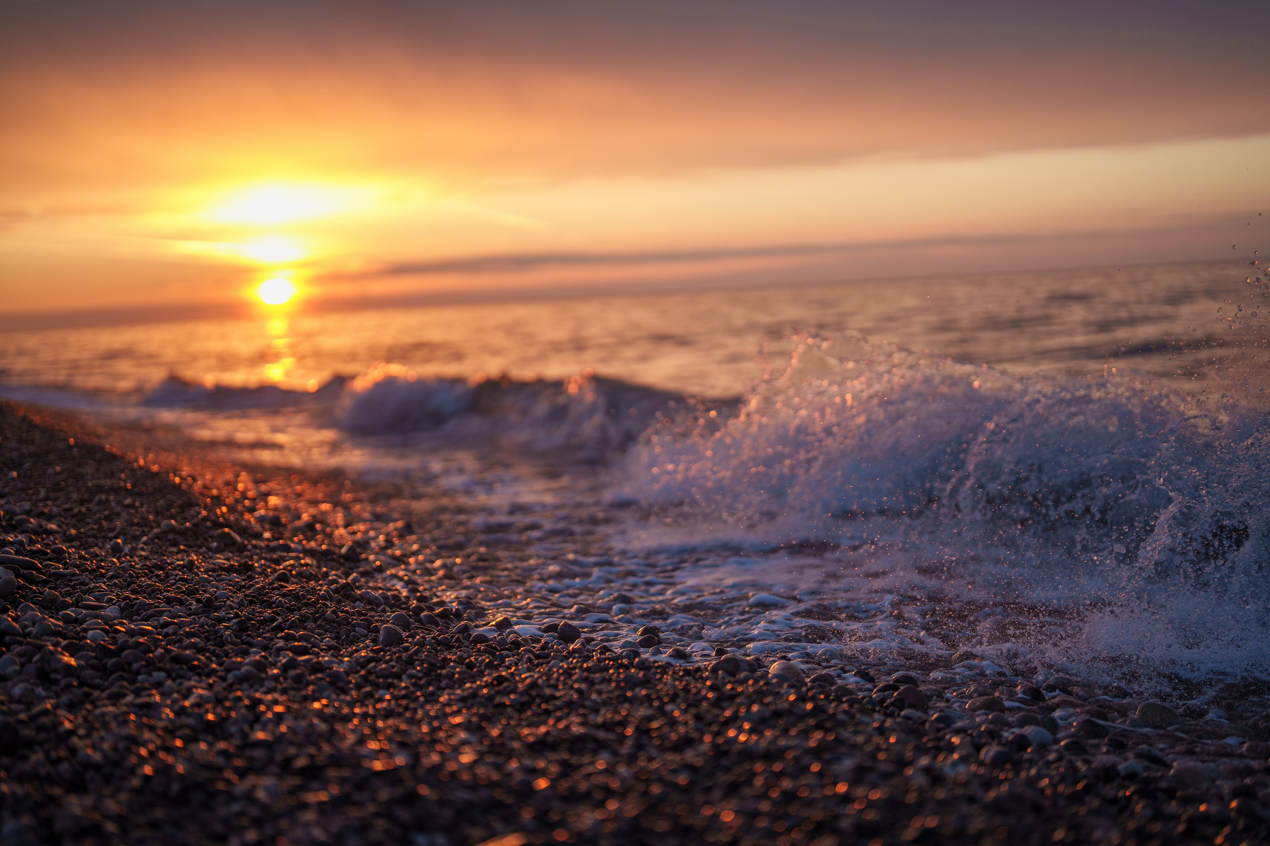 Batumi evening. Ekaterina Verbitskaya. Photography