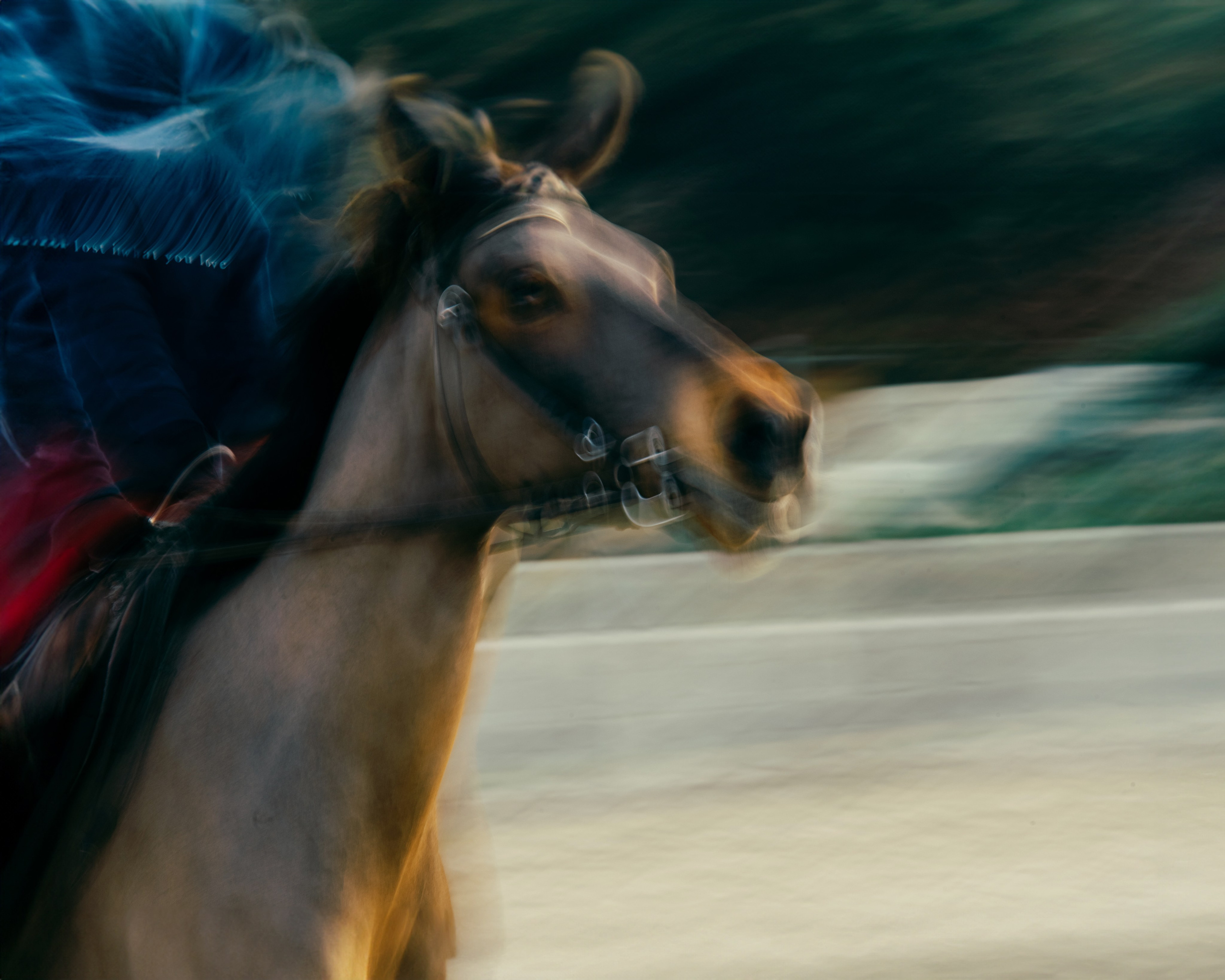 HORSES. Anastasiia Antoniuk portrait, family and couple photographer, Portugal
