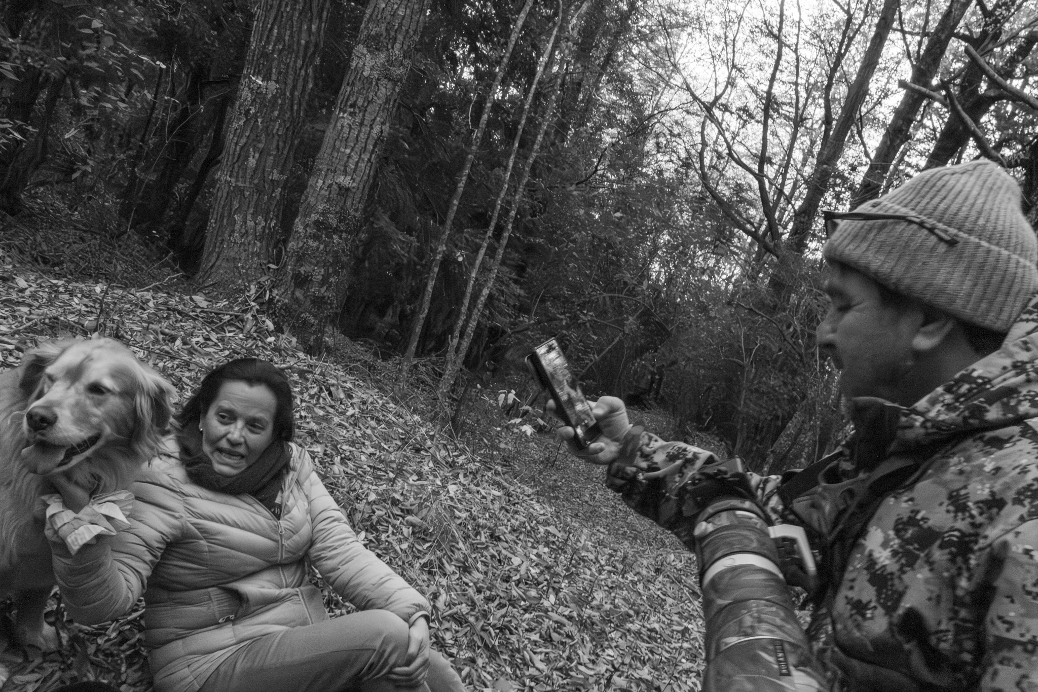 Otoño 2026 en la Araucanía. Fotógrafo de naturaleza en Chile Cristian Larrere Worner