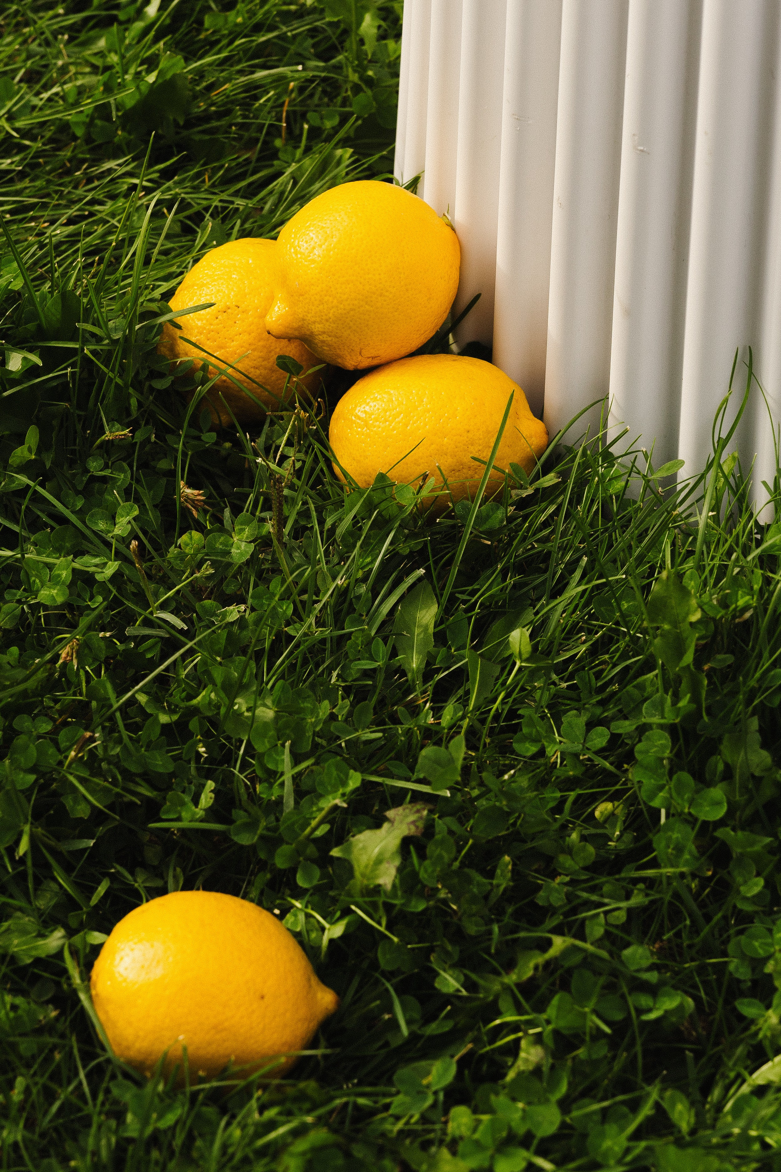 Алмаз и Алина. Азимжан Нуритдинходжаев — свадебный фотограф