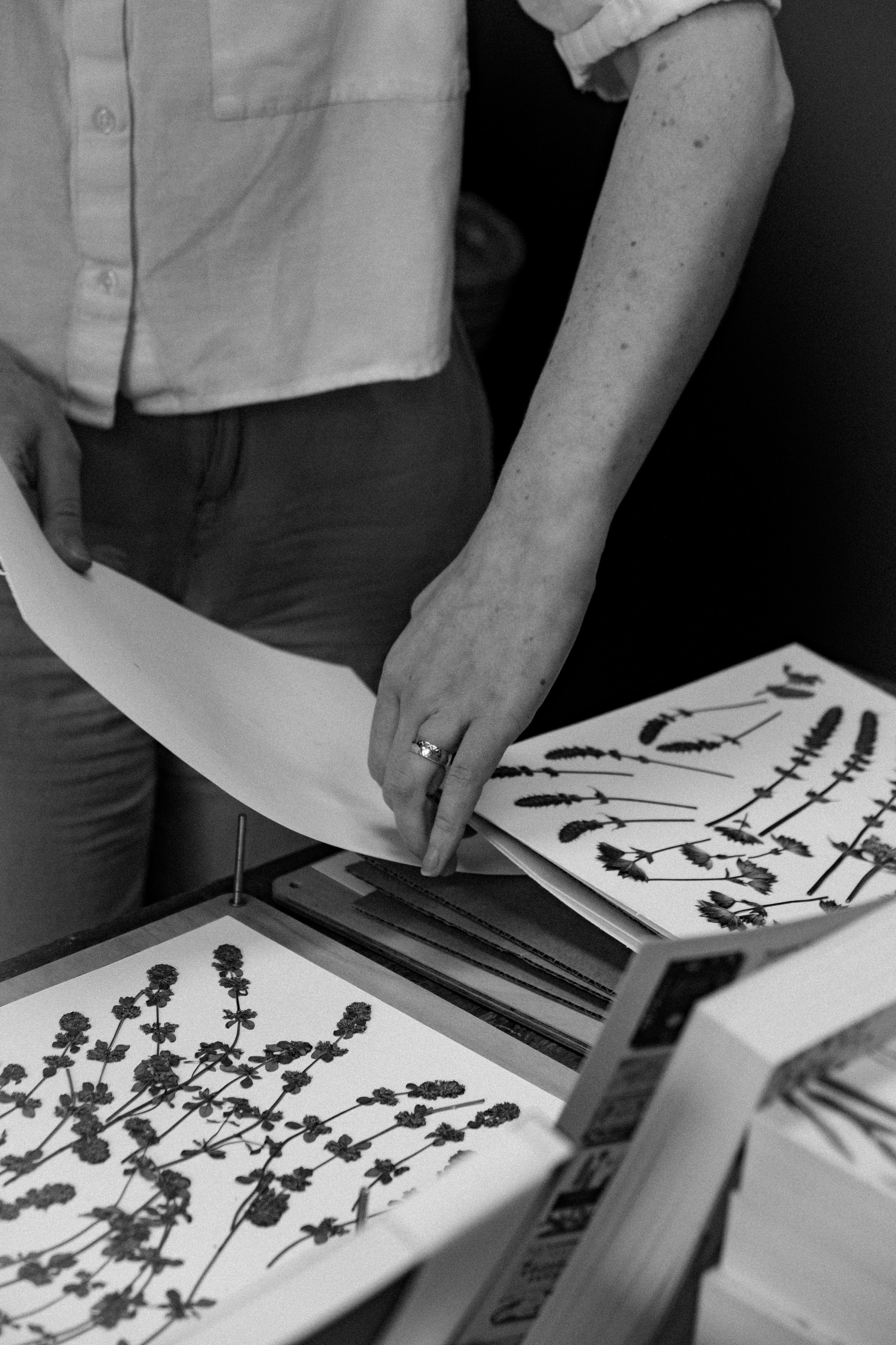 Studio. Síog Botanicals. Alforlove.com