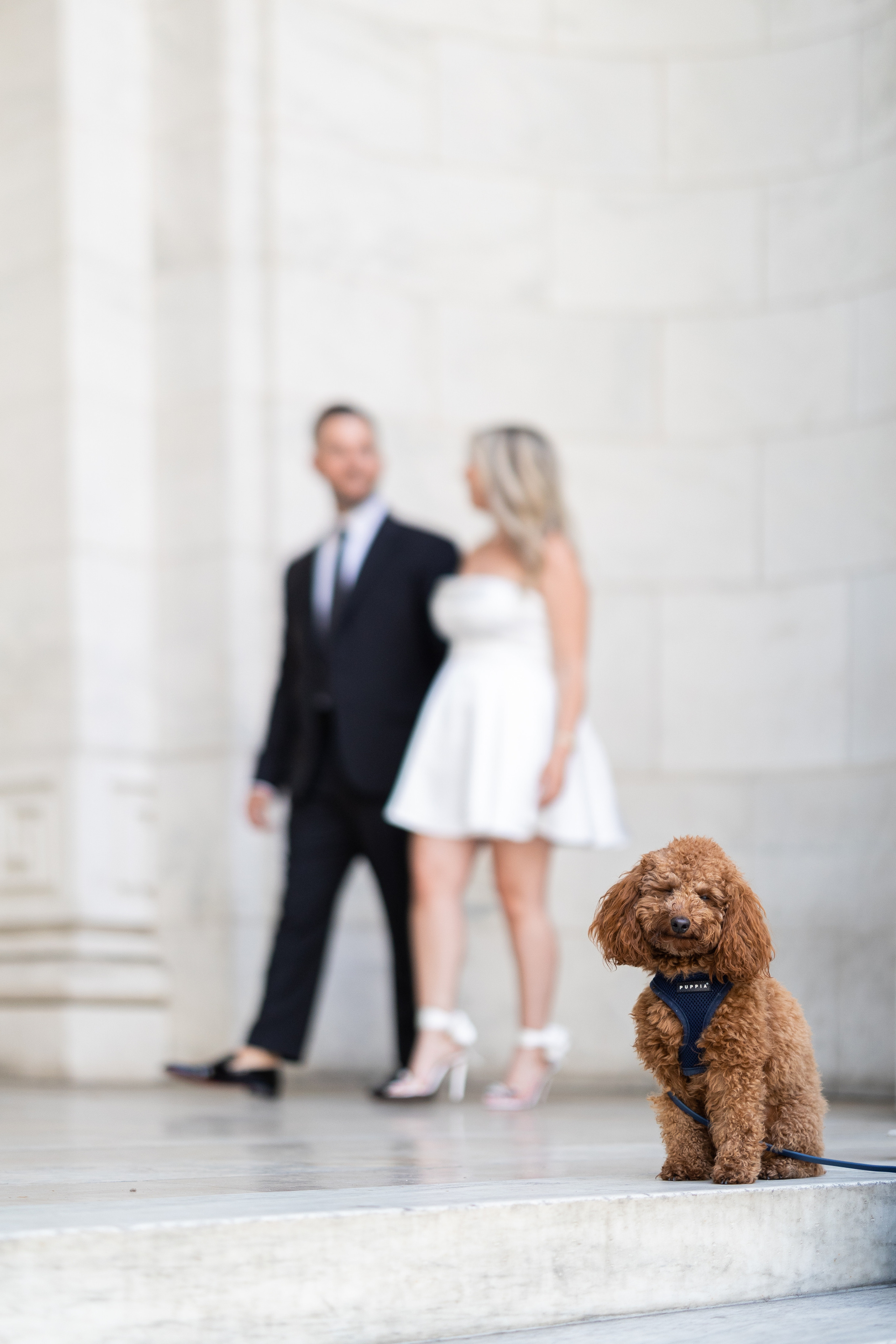 Engagement & Love Story. Wedding Photo & Video