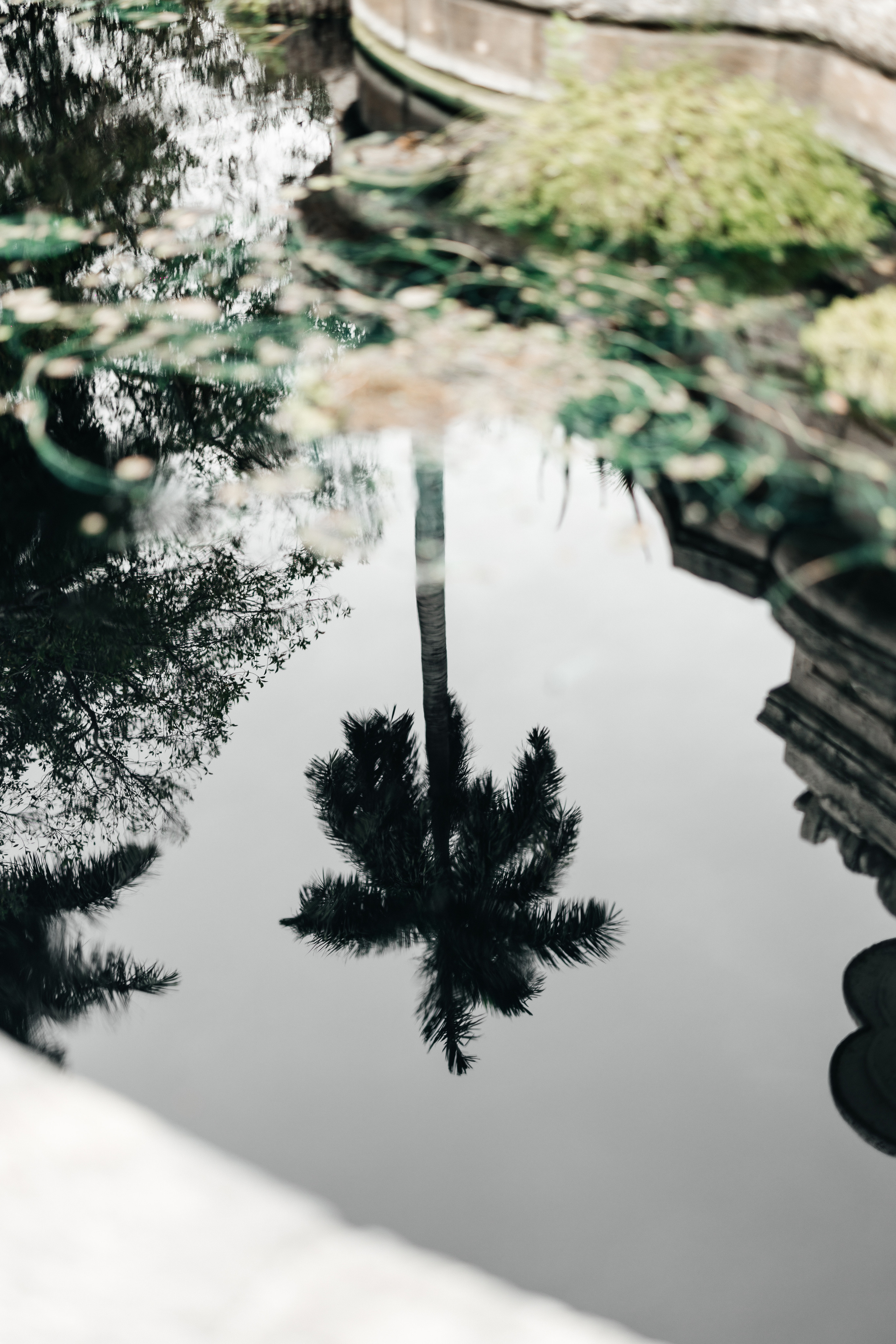 Yulia and Dimas, Vizcaya Museum and Gardens, Miami. Wedding Photo & Video