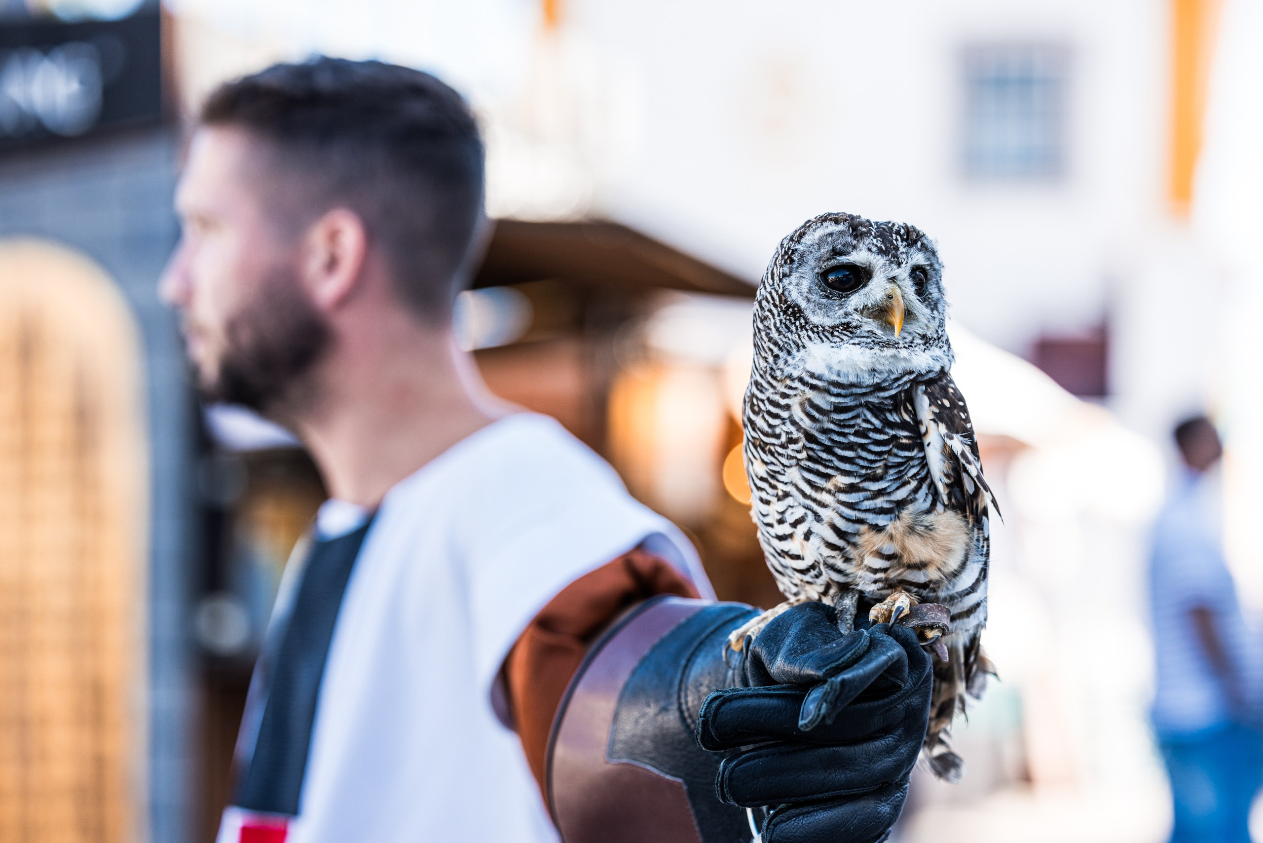 Luxury Event Photography | Beyond Creative. Beyond Creative 20 | Cinematic Video & Photography Production Lisbon & Algarve