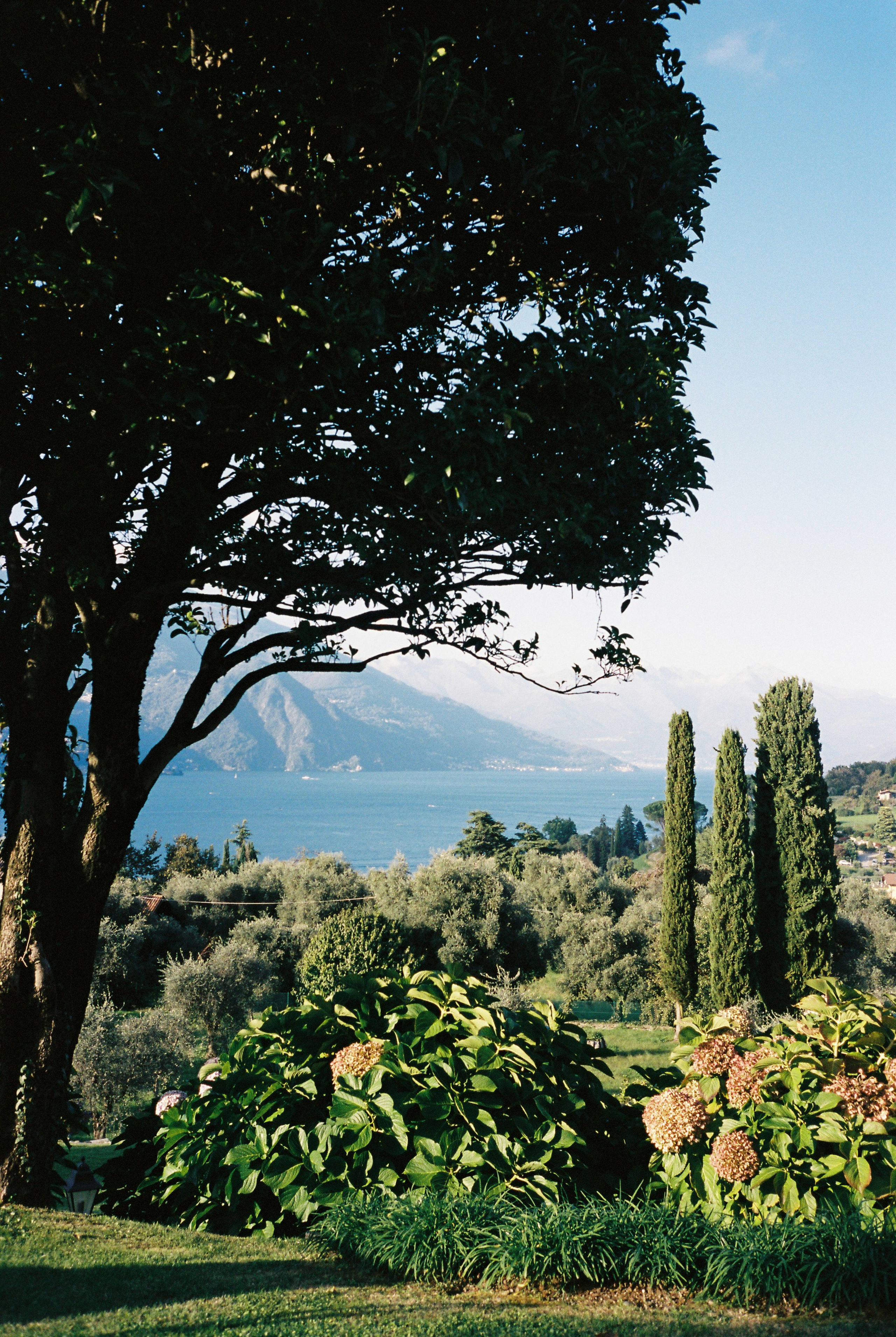 Pre-wedding photoshoot in Bellagio. Wedding photographer in Italy