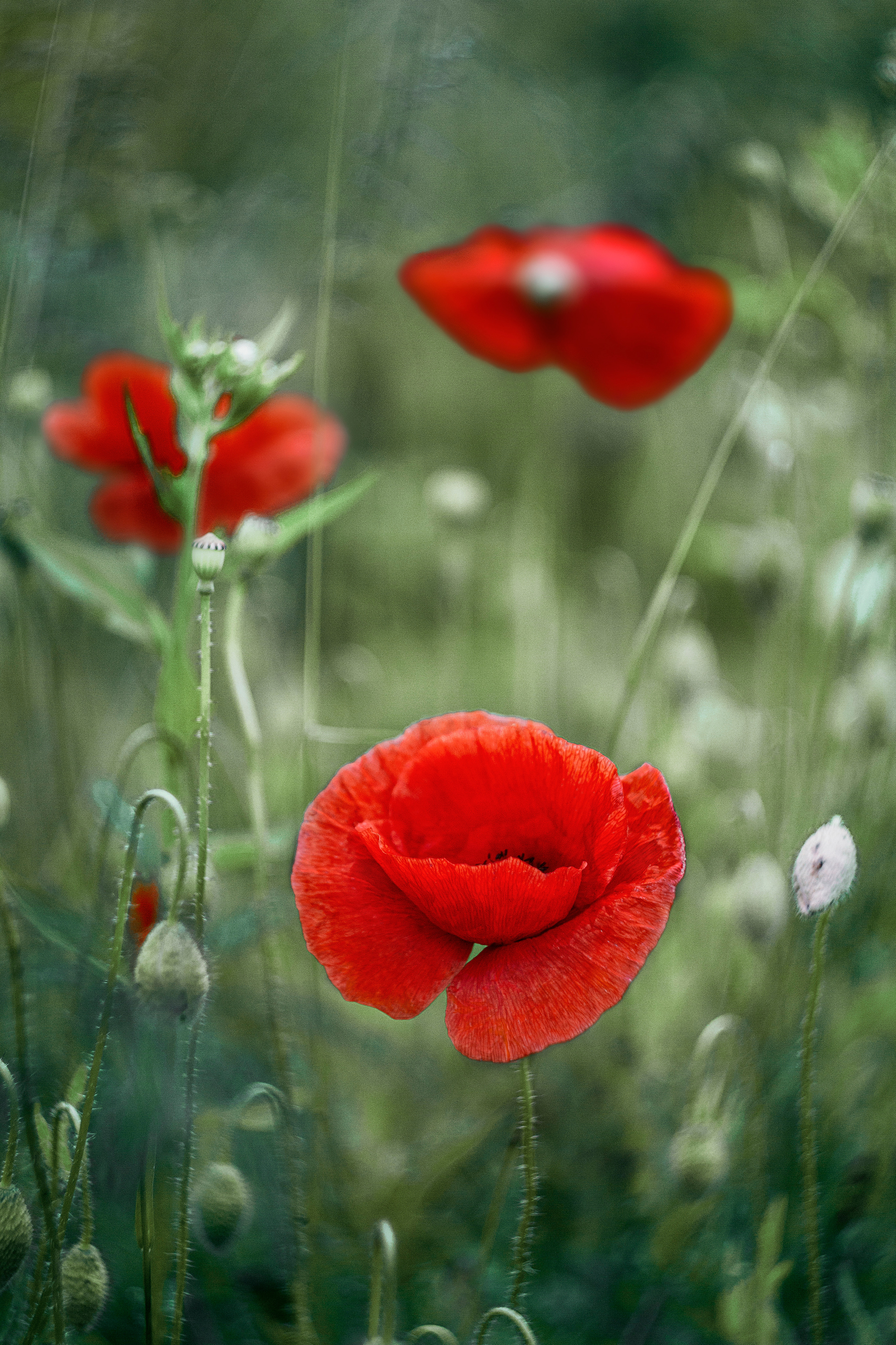 My travels. Alexandra Grevtseva — Art-photographer in Germany