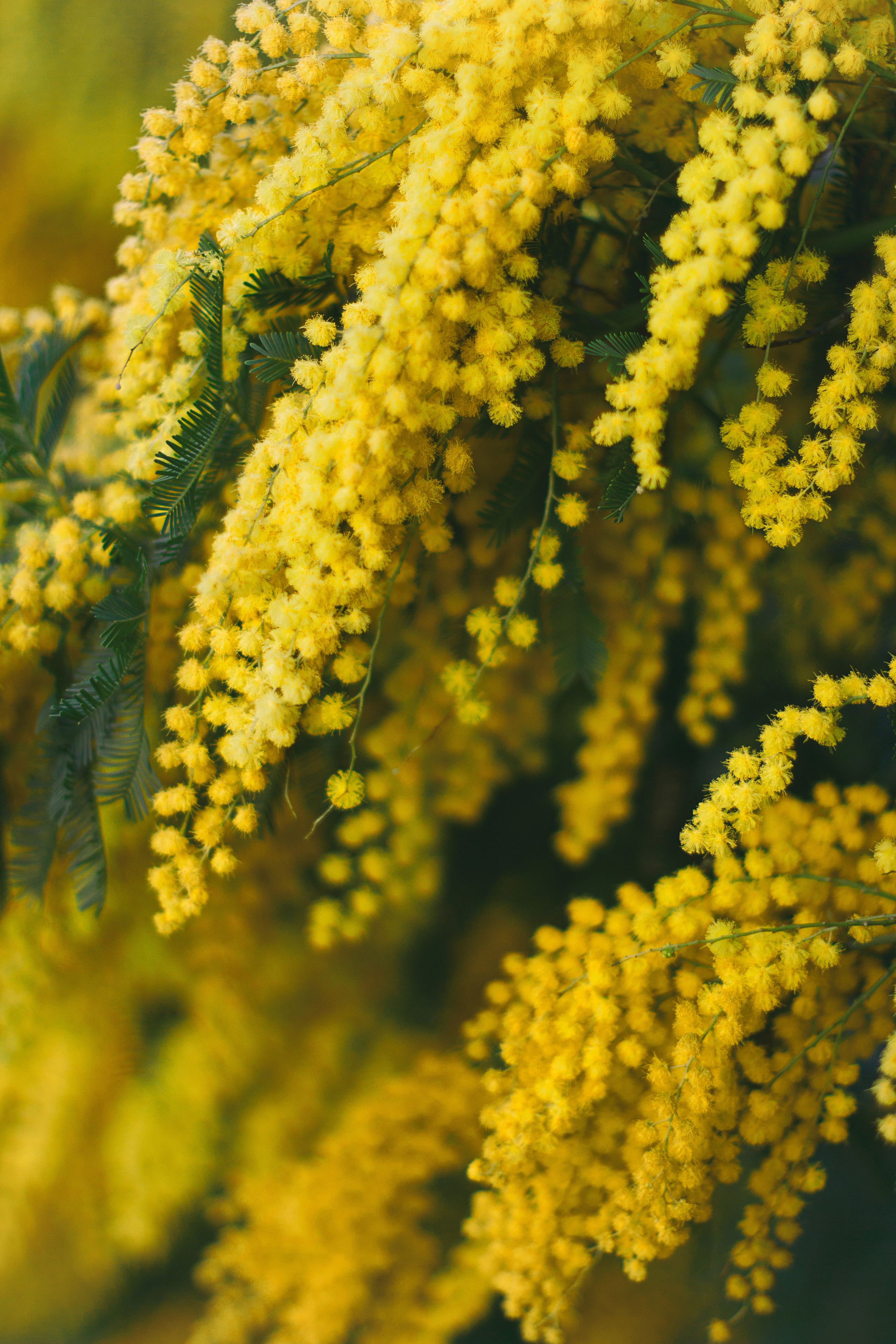 My travels. Alexandra Grevtseva — Art-photographer in Germany