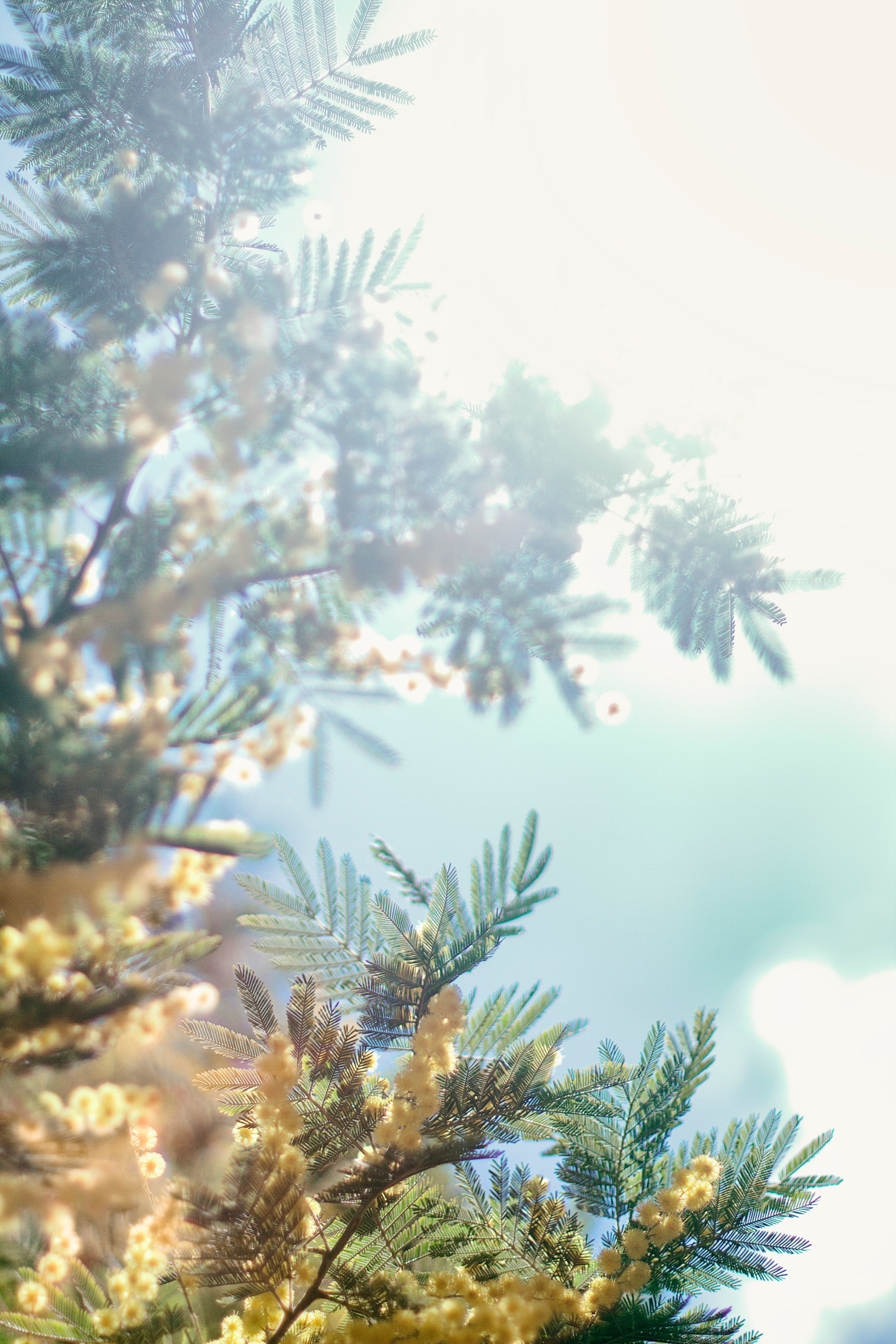 My travels. Alexandra Grevtseva — Art-photographer in Germany