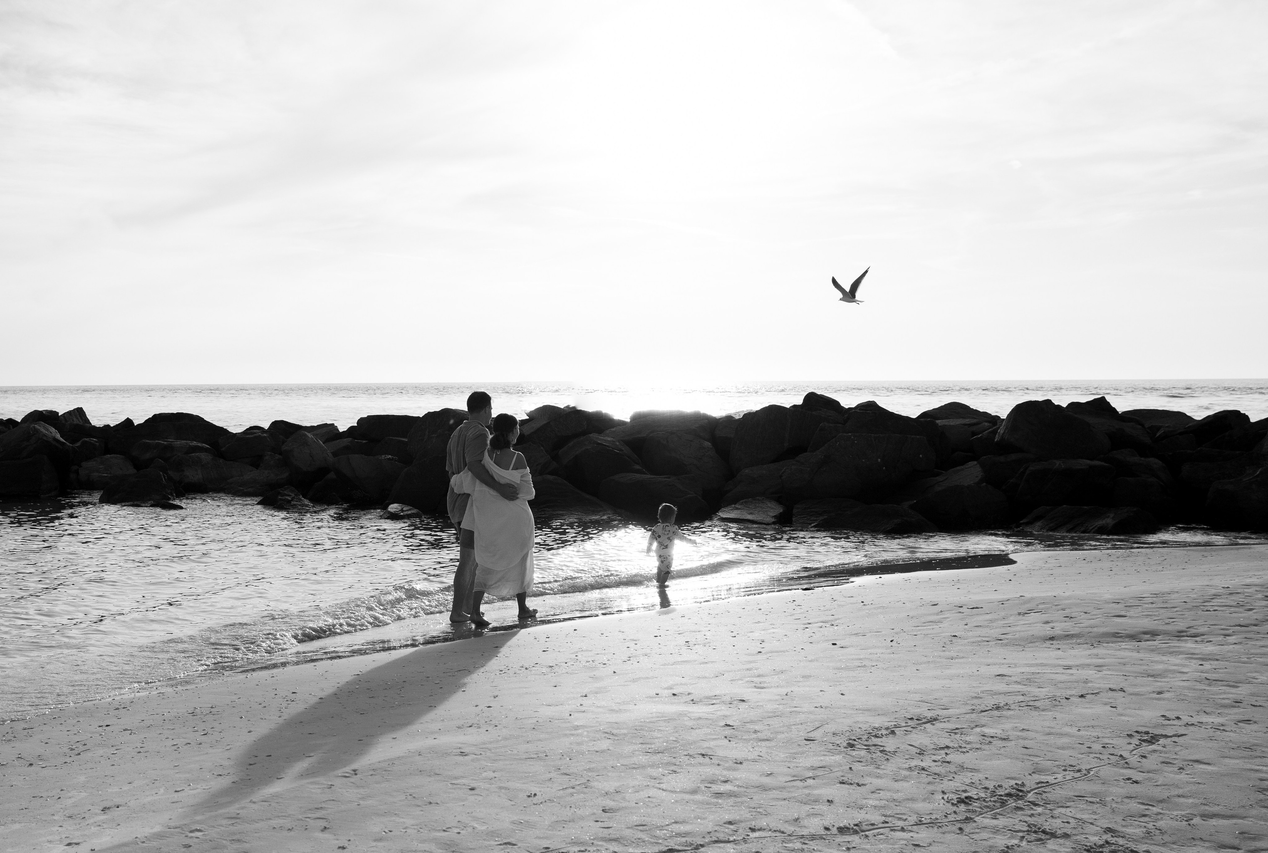 Family photo shoot and love story  tampa florida