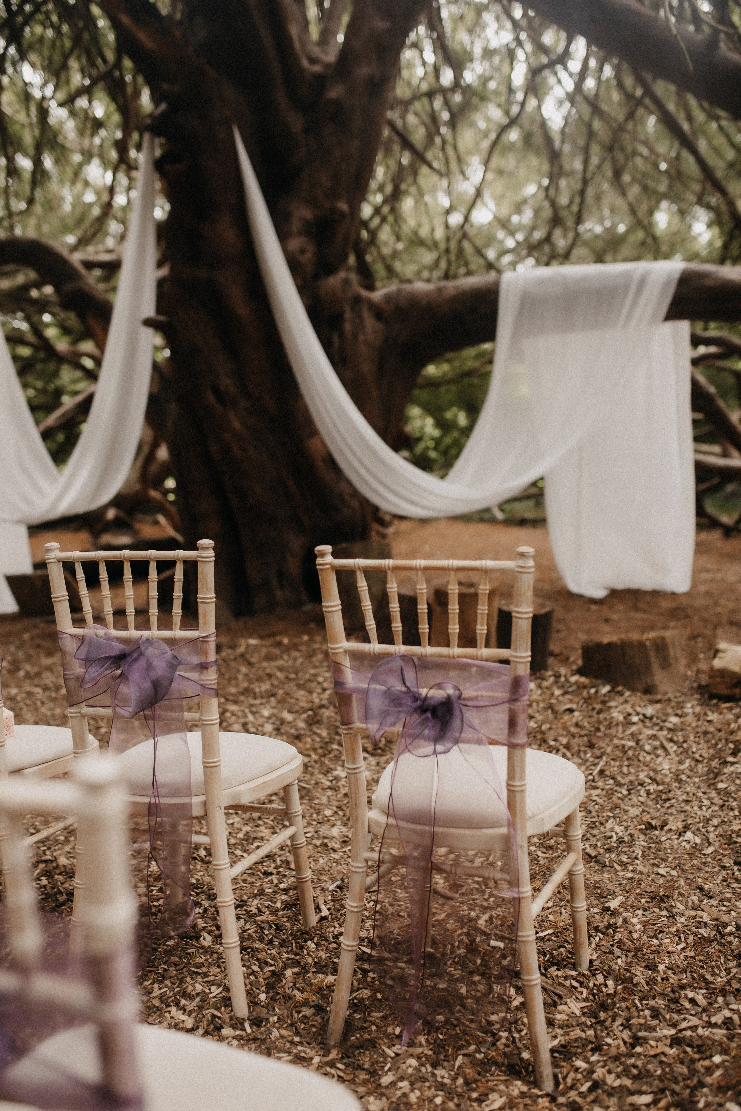 Matthew and Trinh. Wedding and Portrait Photographer Evie Moon
