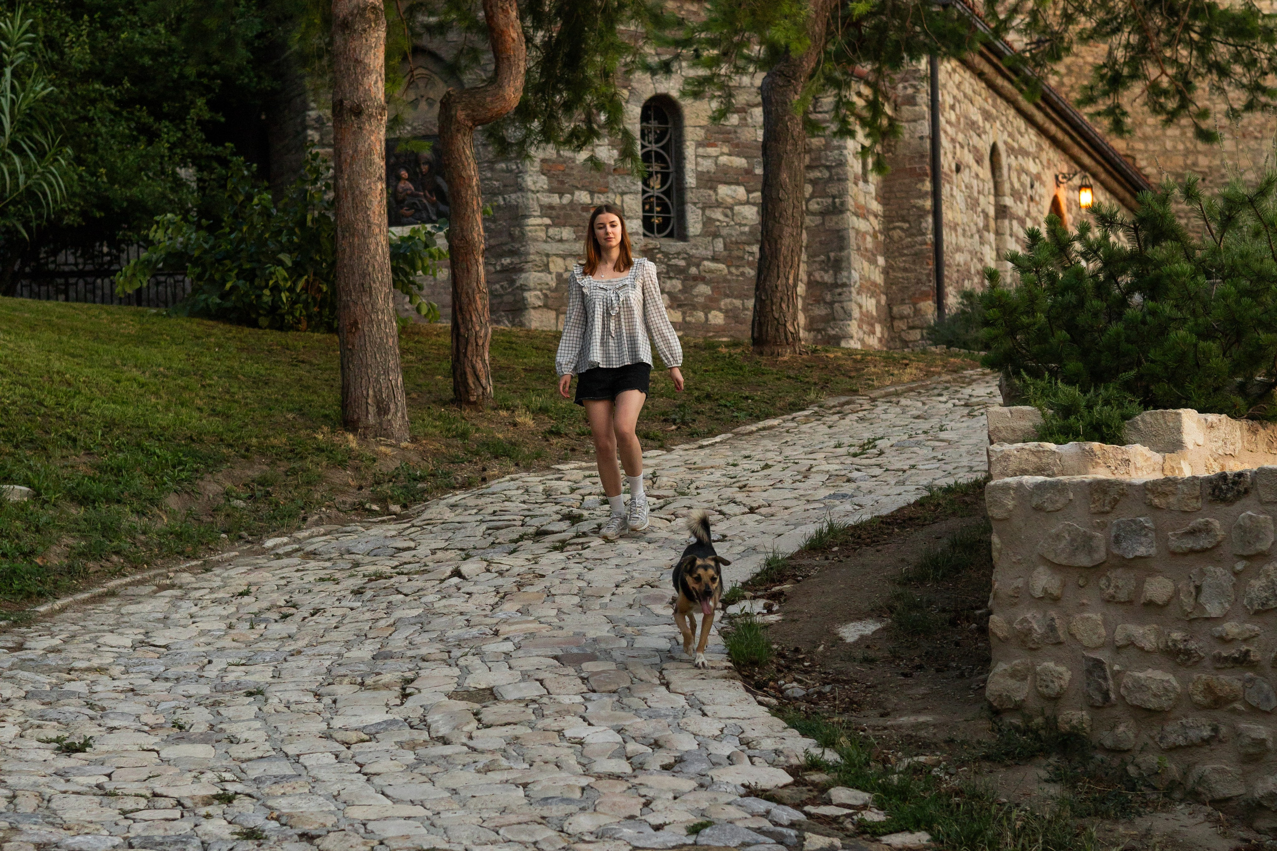 Настя, Денис и Мося. Фотограф-анималист | Белград