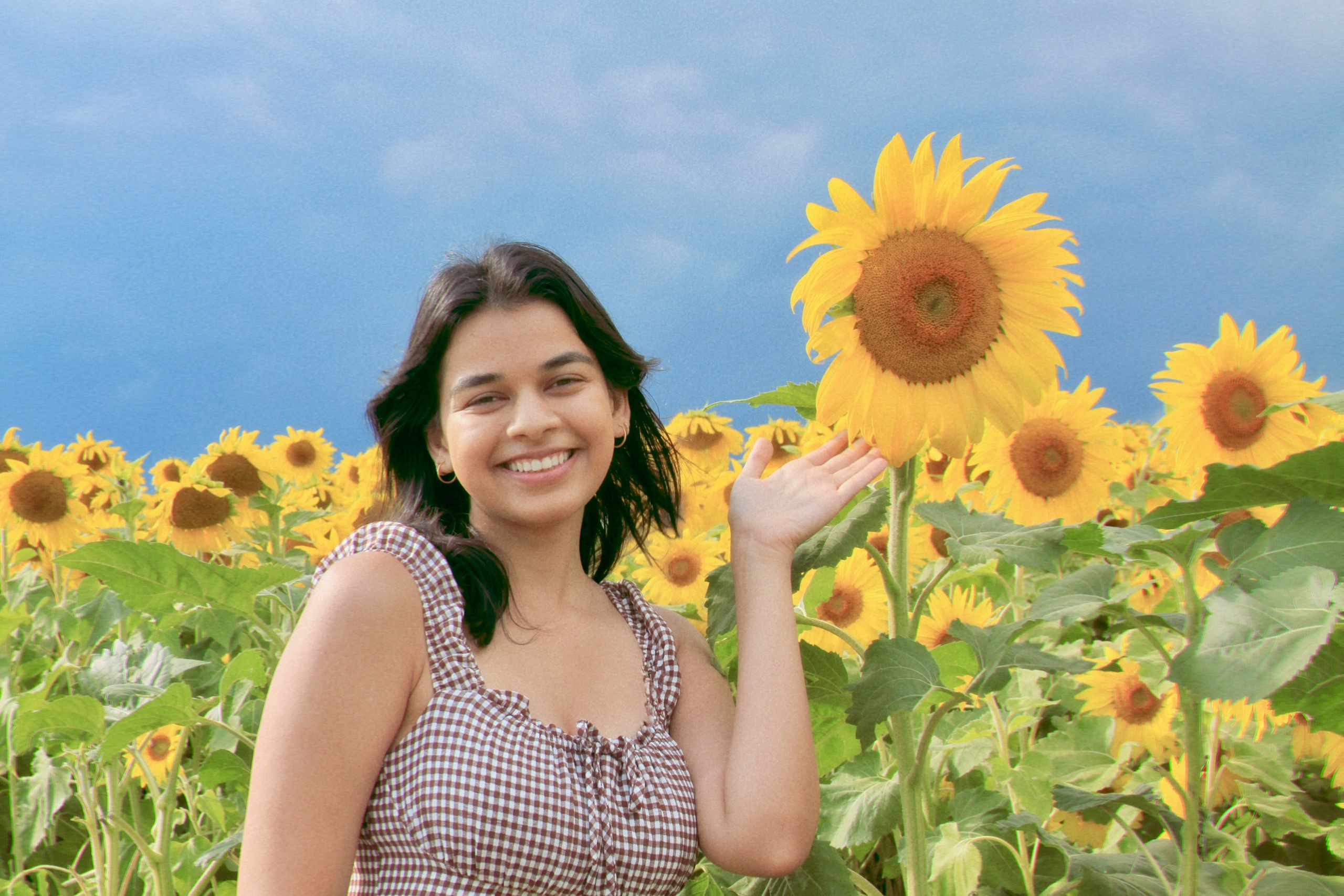 Sunflower farm shoot with Annie. Kelly Sang, graduation and portrait photographer in Boston