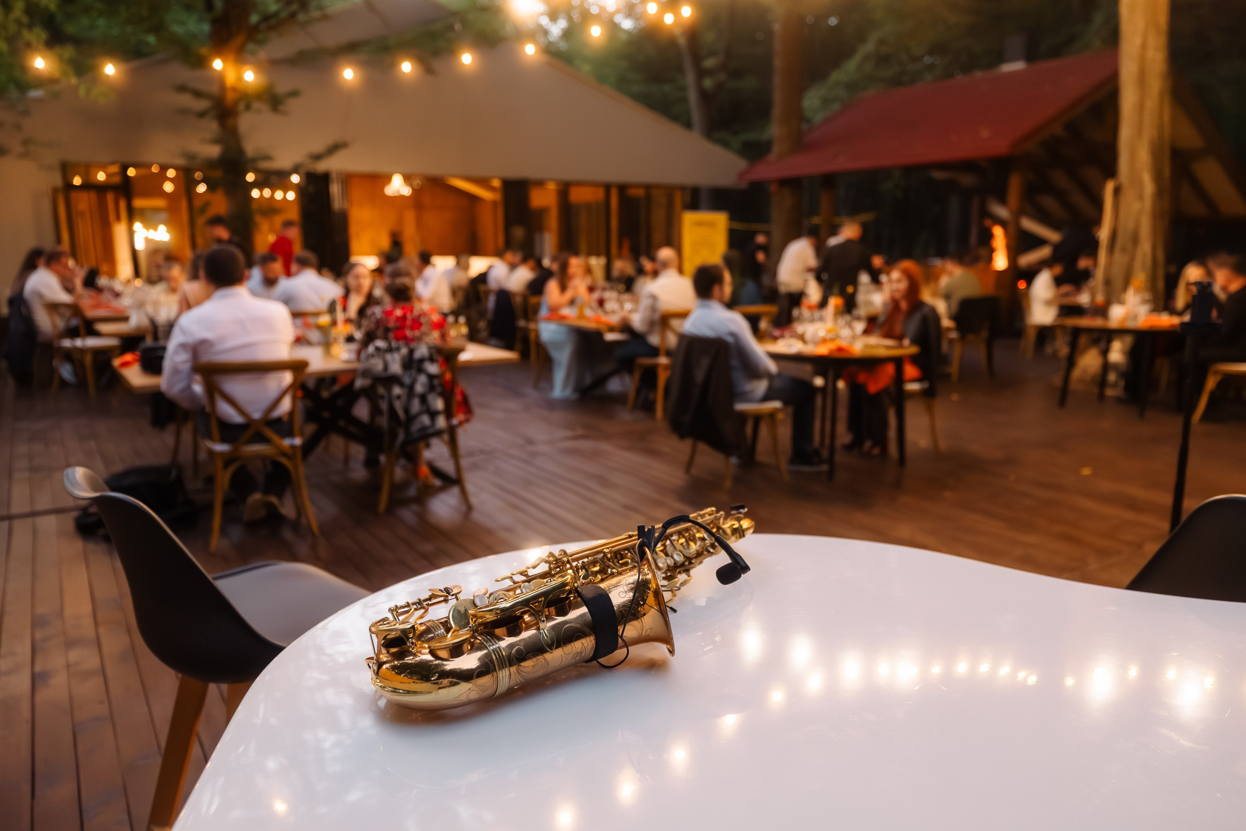 Wine Dine Challete. Marius Ciocan