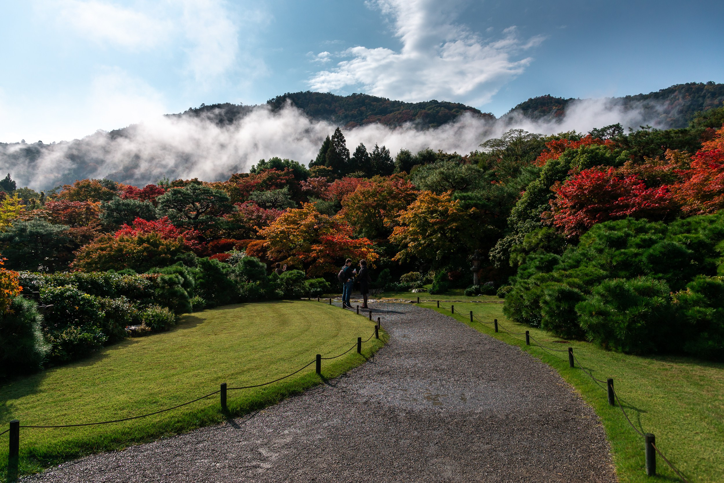 Japan. Marius Ciocan