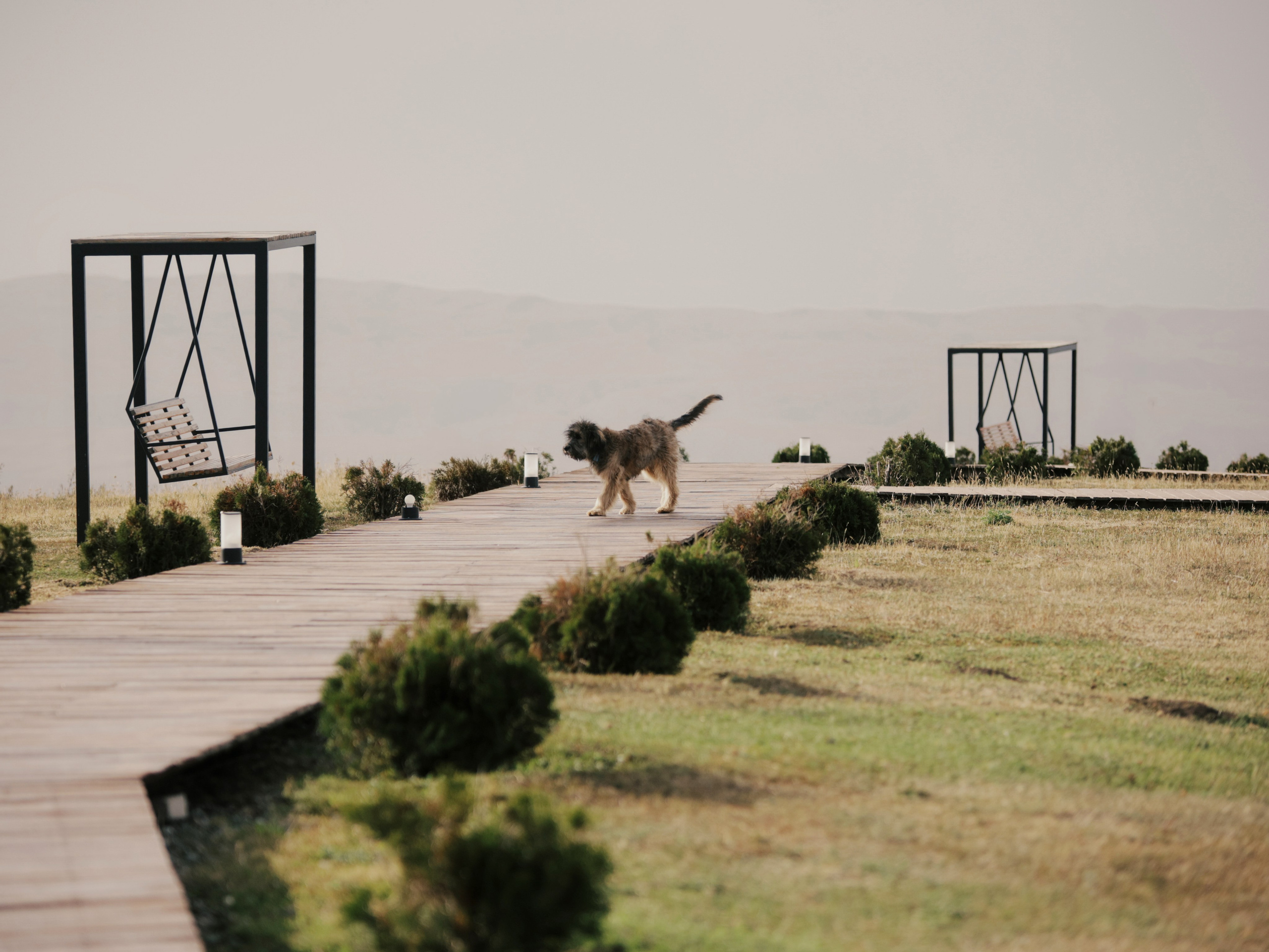 I DO. Валерия Вартанова. Фотограф