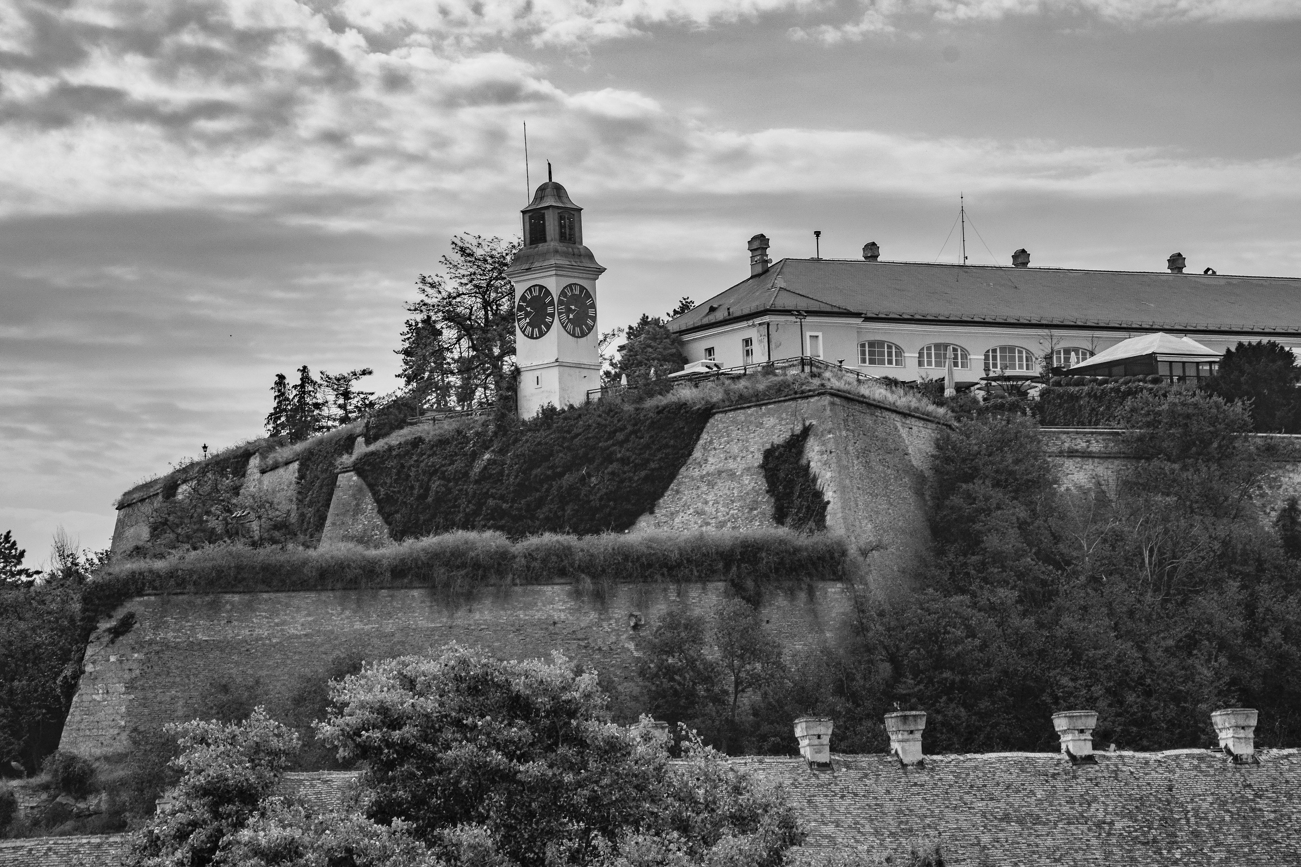 Петроварадин - галерија на продају. Викторија Федосеенко, фотограф у Србији