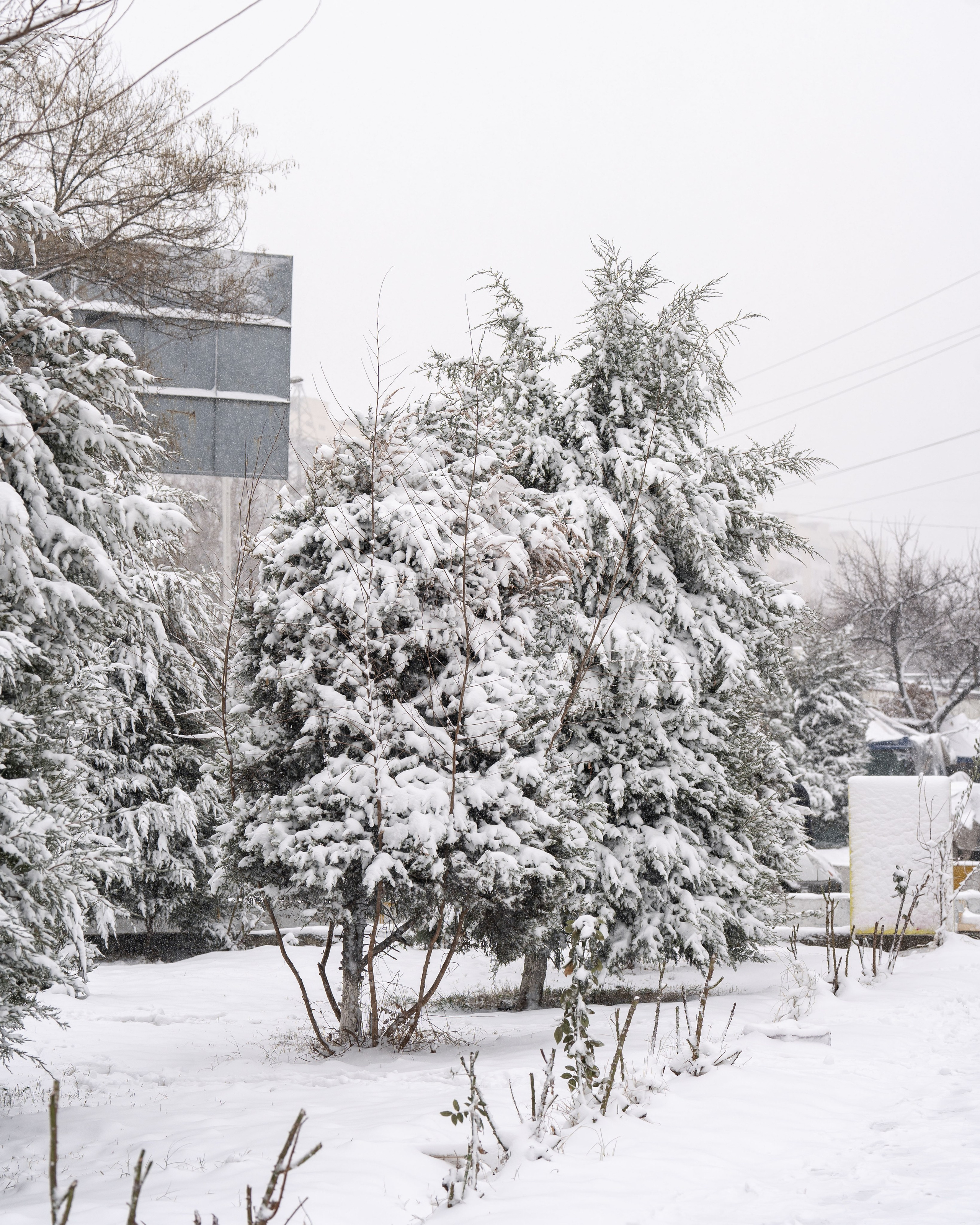 Снег. Георгий Намазов | Фотограф в Ташкенте