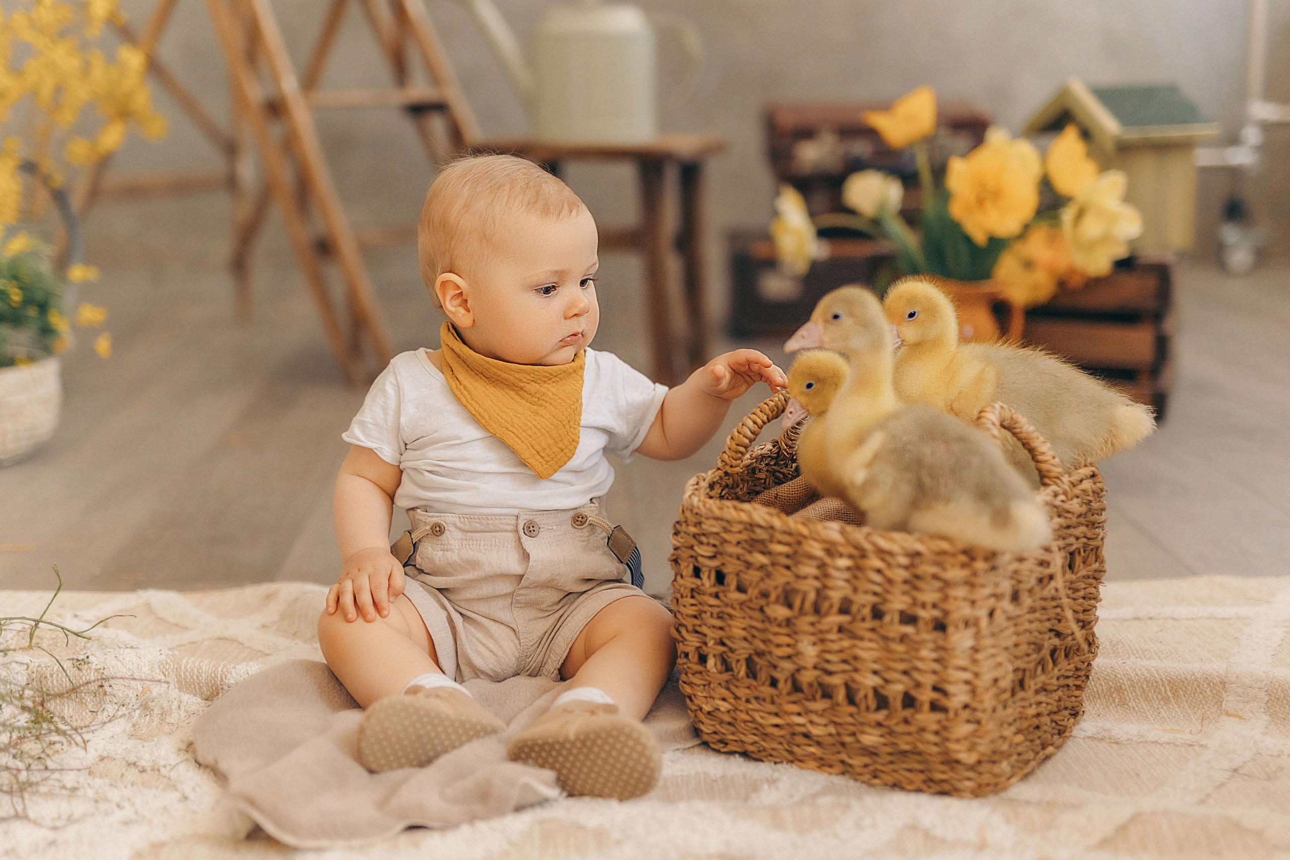 Детский фотопроект с животными в Таллинне. Фотограф в Таллинне — портретные, семейные и детские фотосессии