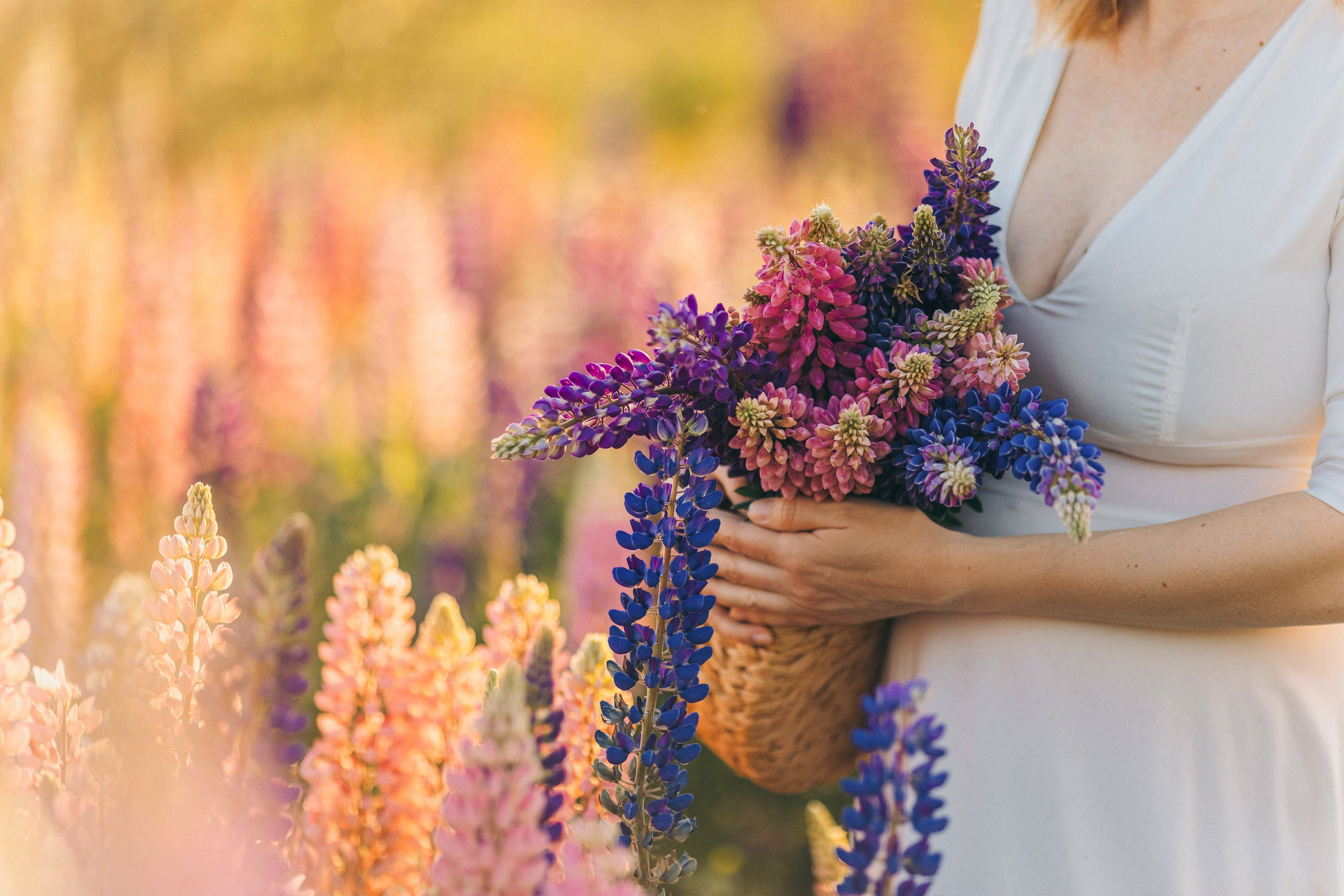 Фотосессии в цветущих люпиновых полях в Таллинне. Фотограф в Таллинне — портретные, семейные и детские фотосессии
