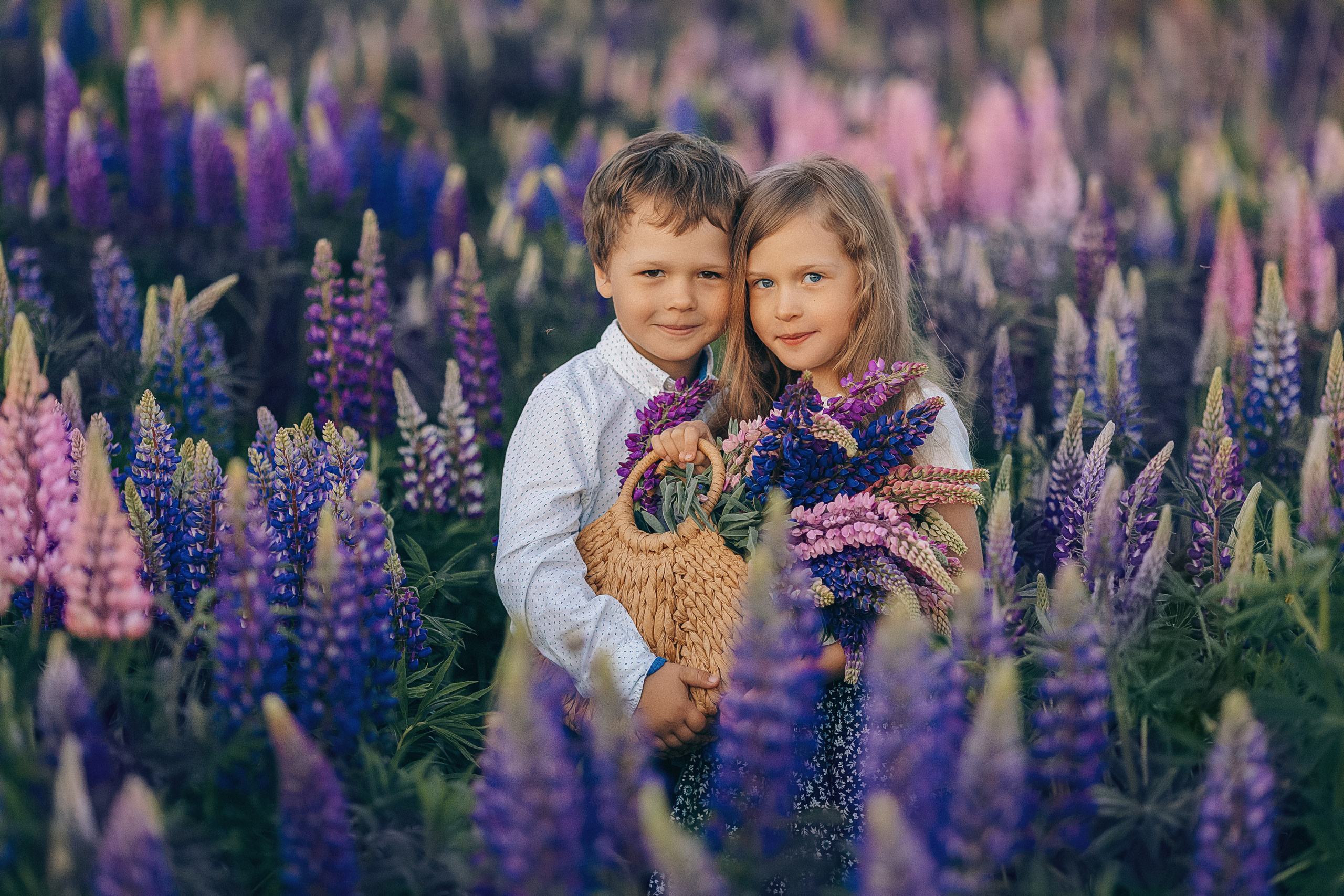 Фотосессии в цветущих люпиновых полях в Таллинне. Фотограф в Таллинне — портретные, семейные и детские фотосессии