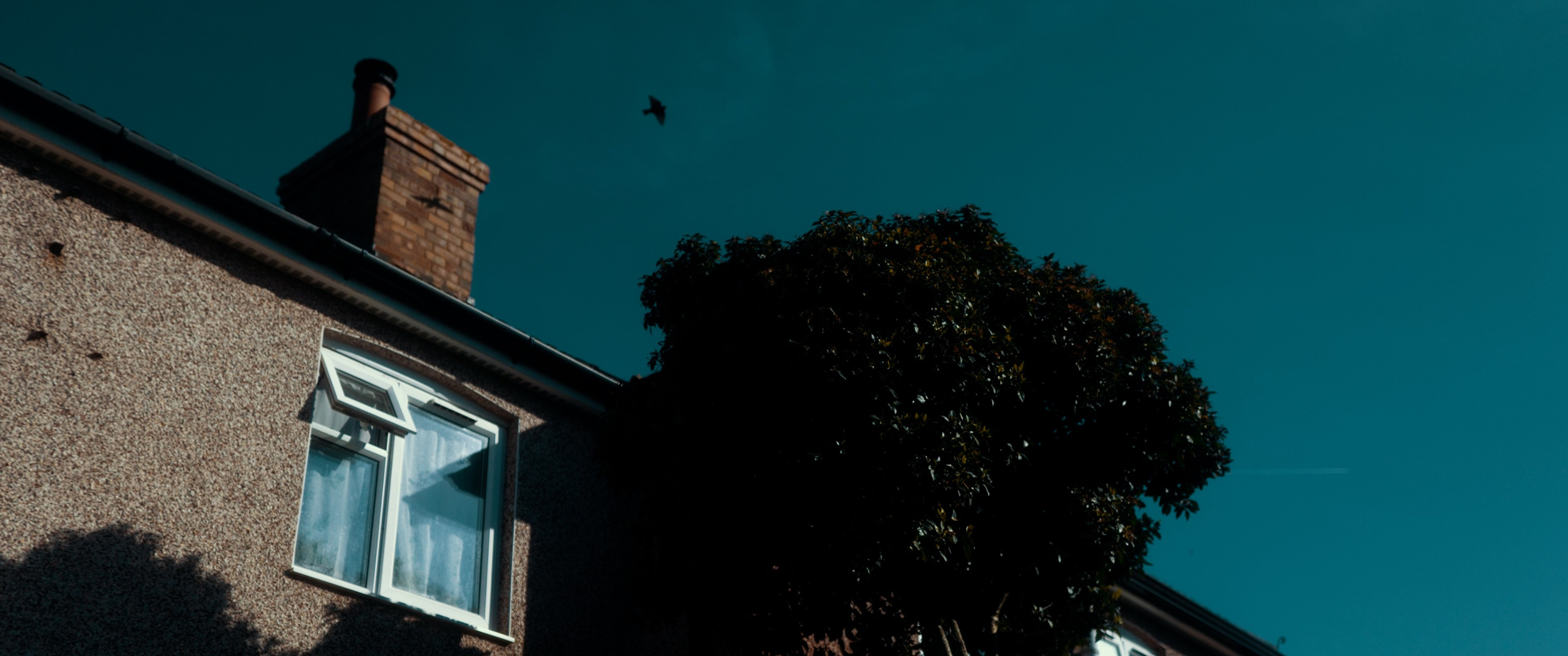 Fotografie de Nuntă. Foto-Video Nunta Iasi, Suceava, Bucuresti / Disponibilitate 2025 — 2026 — 2027